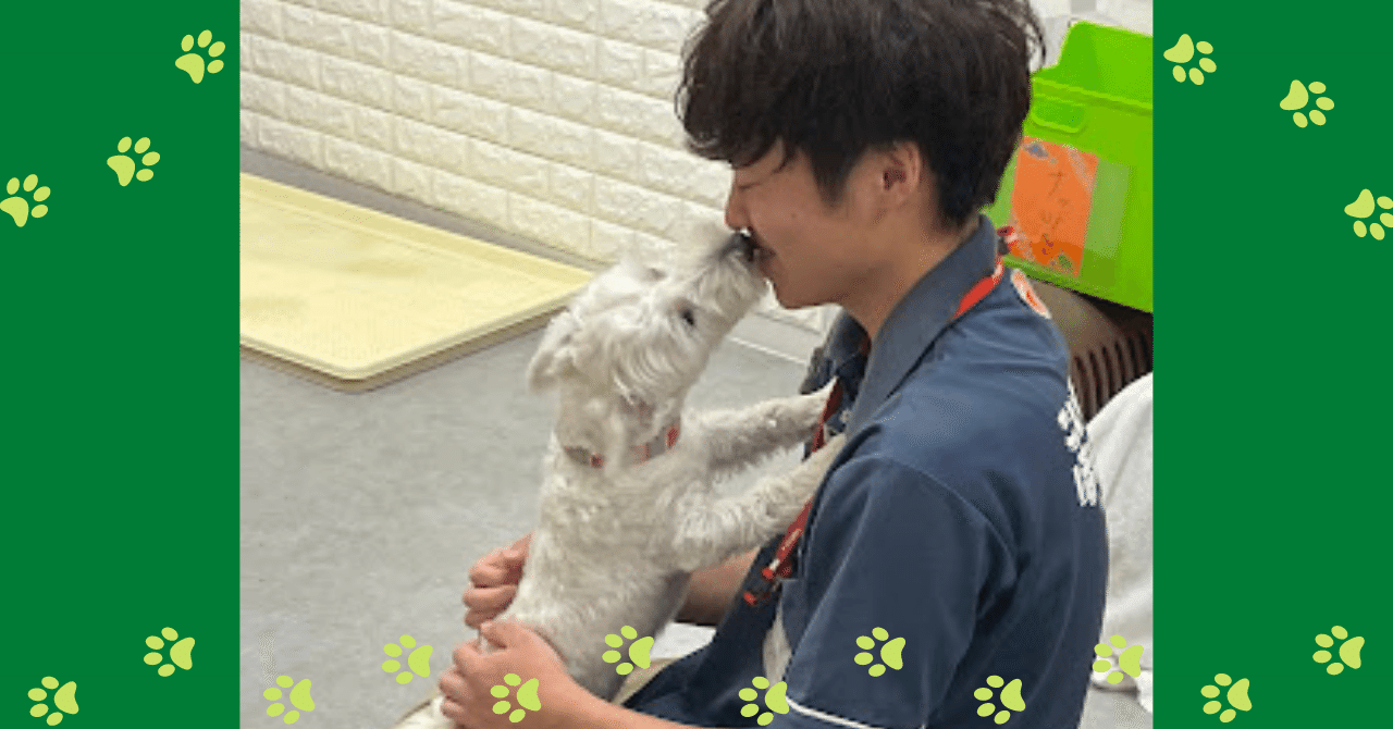 みんなの幸せに向かって前向きに【#コジマ仕事図鑑 Vol.20 こいぬのほ