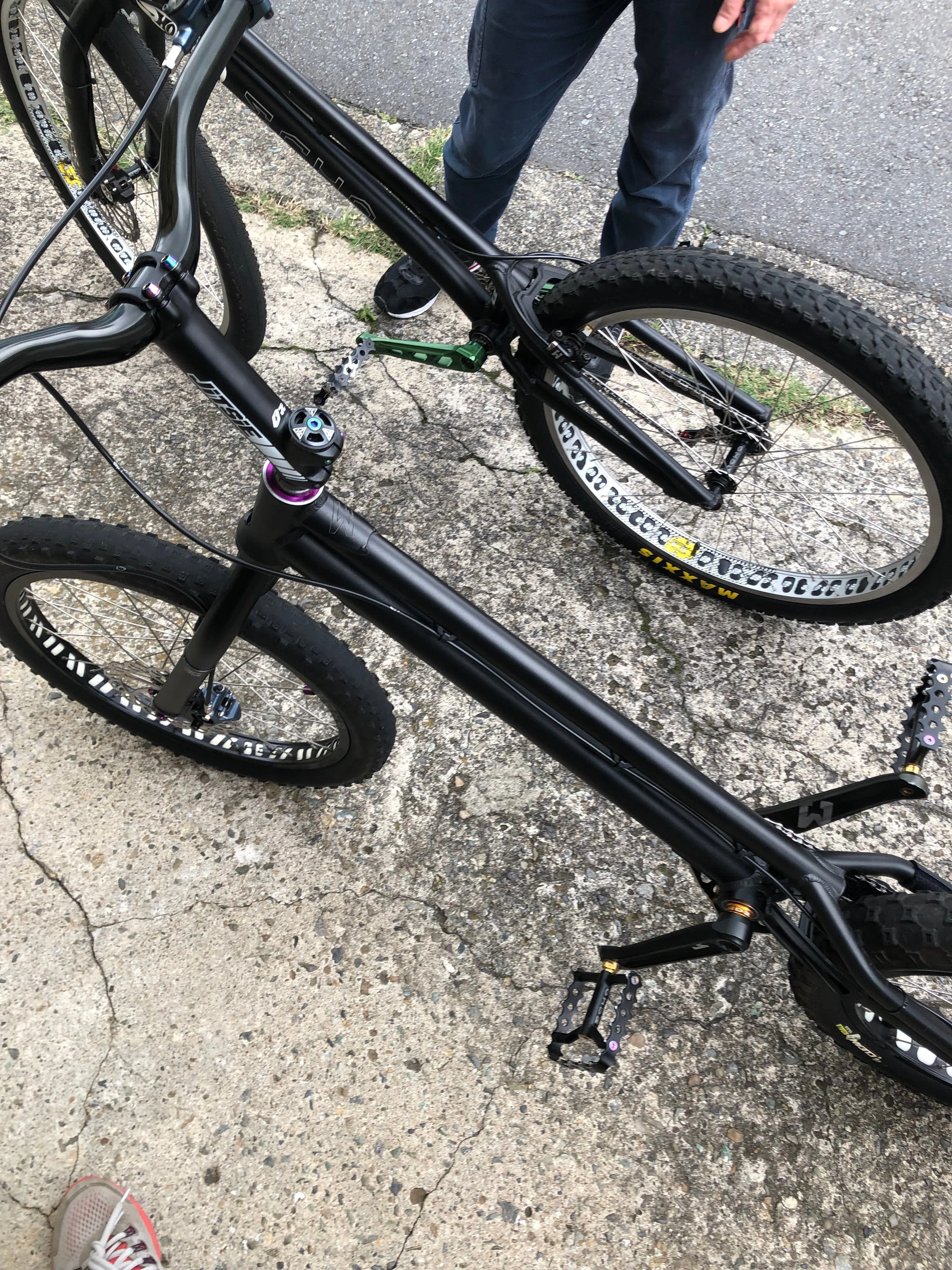 トライアルバイクを買った｜（花鳥風月）ikesan