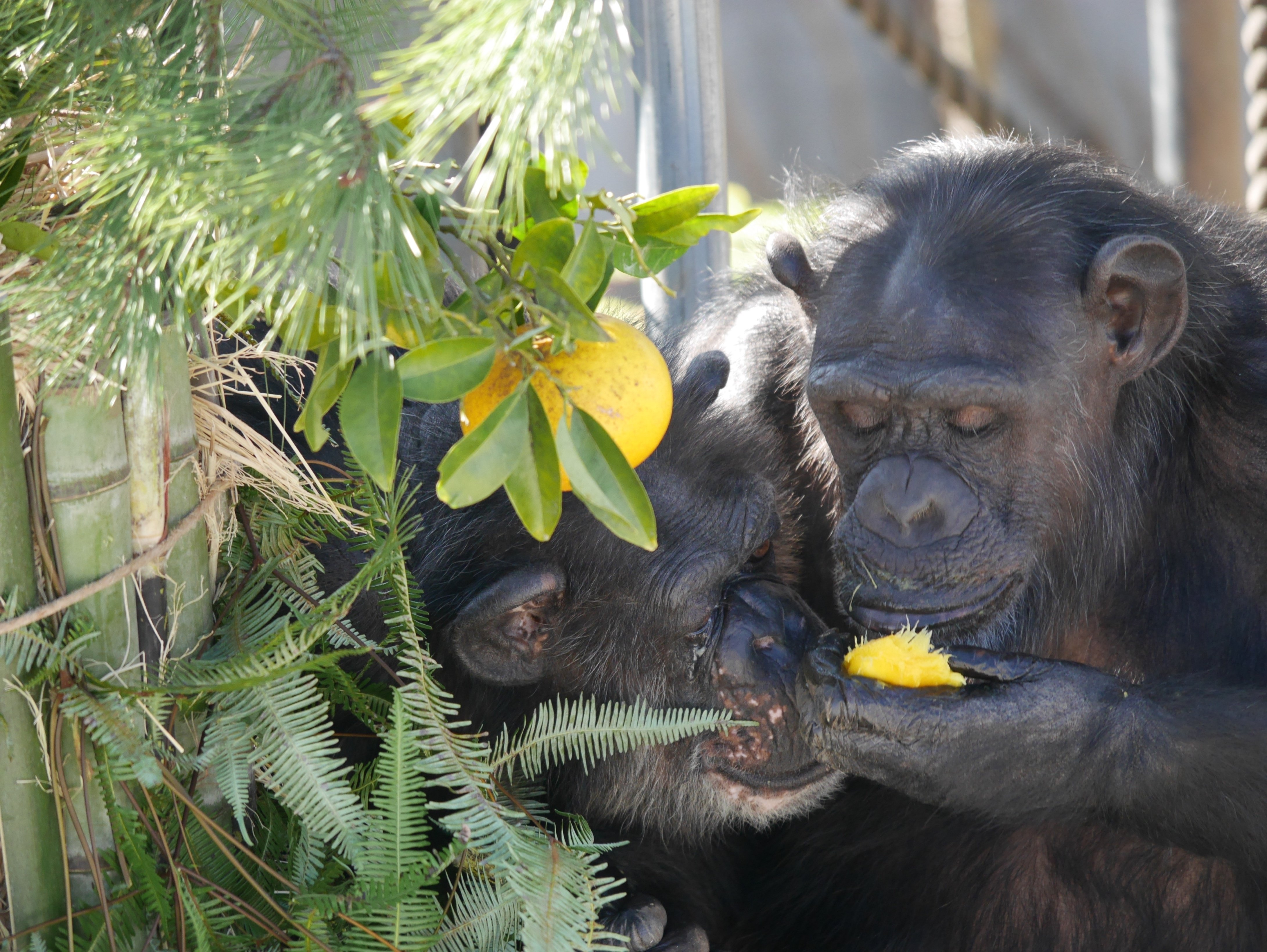 このままでは終われない。」熊本サンクチュアリが3度目のクラウド