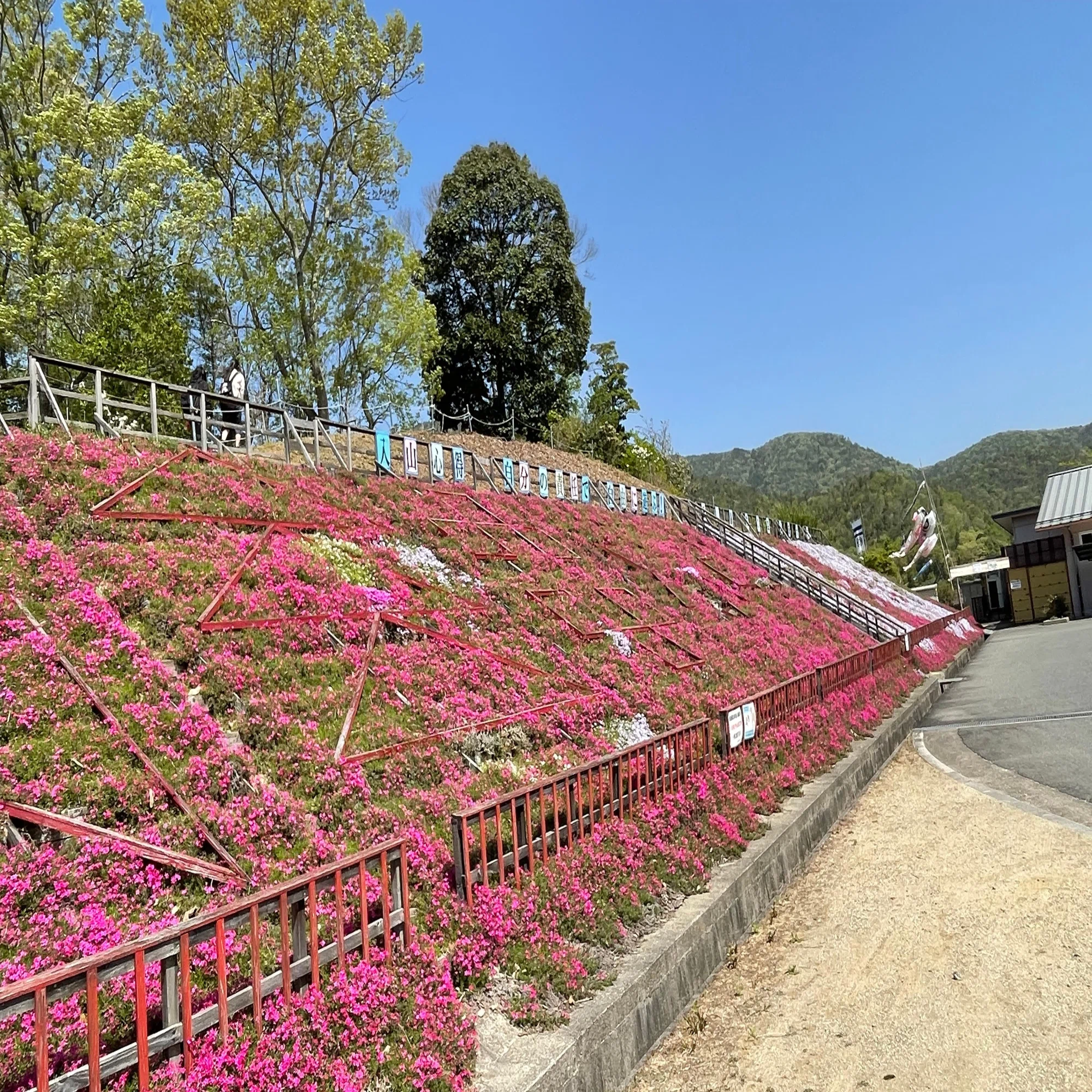 深 原 地区 公園