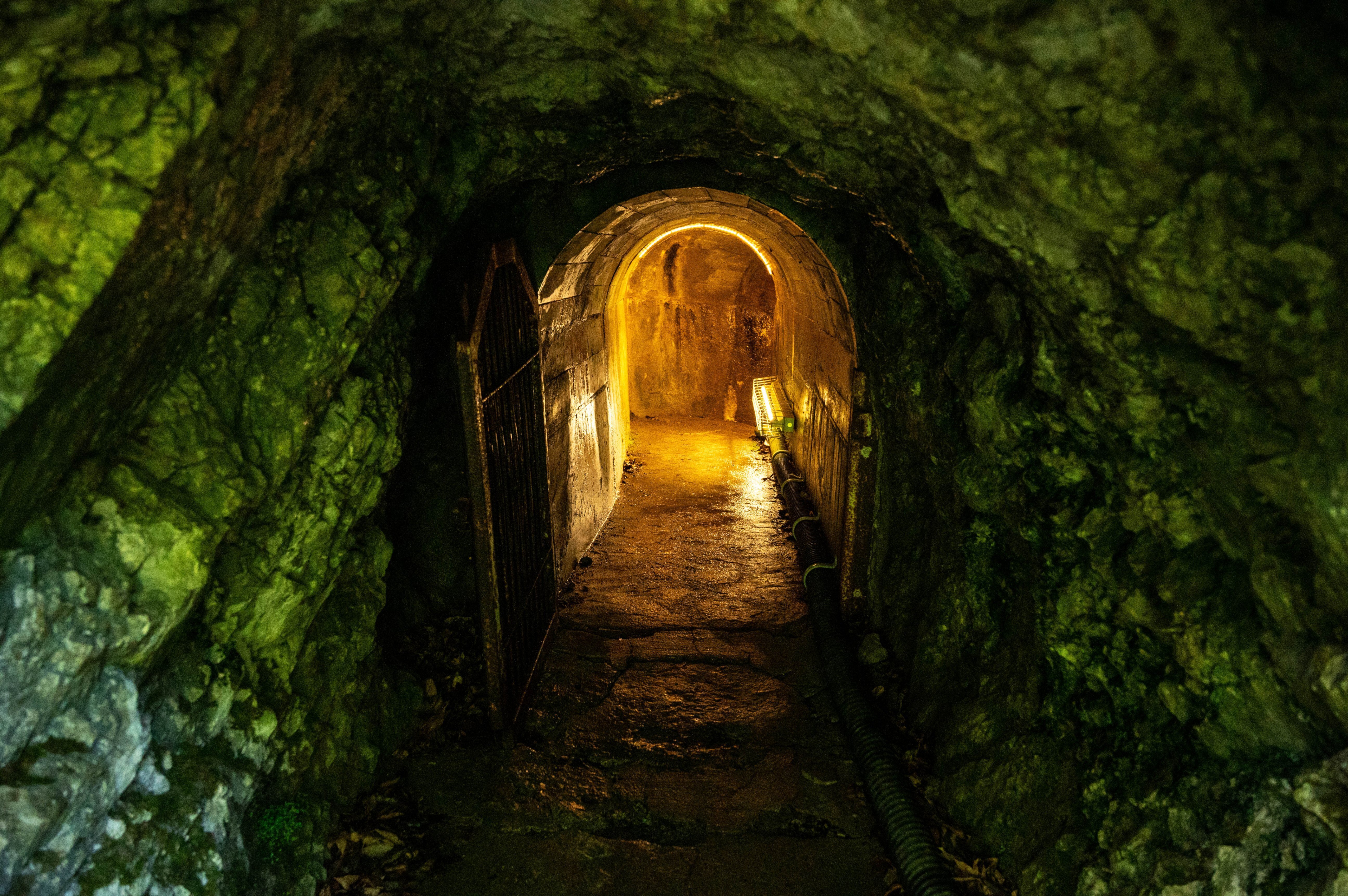 1年を通じて気温が15度以下！涼みながら日本有数の洞窟滝を