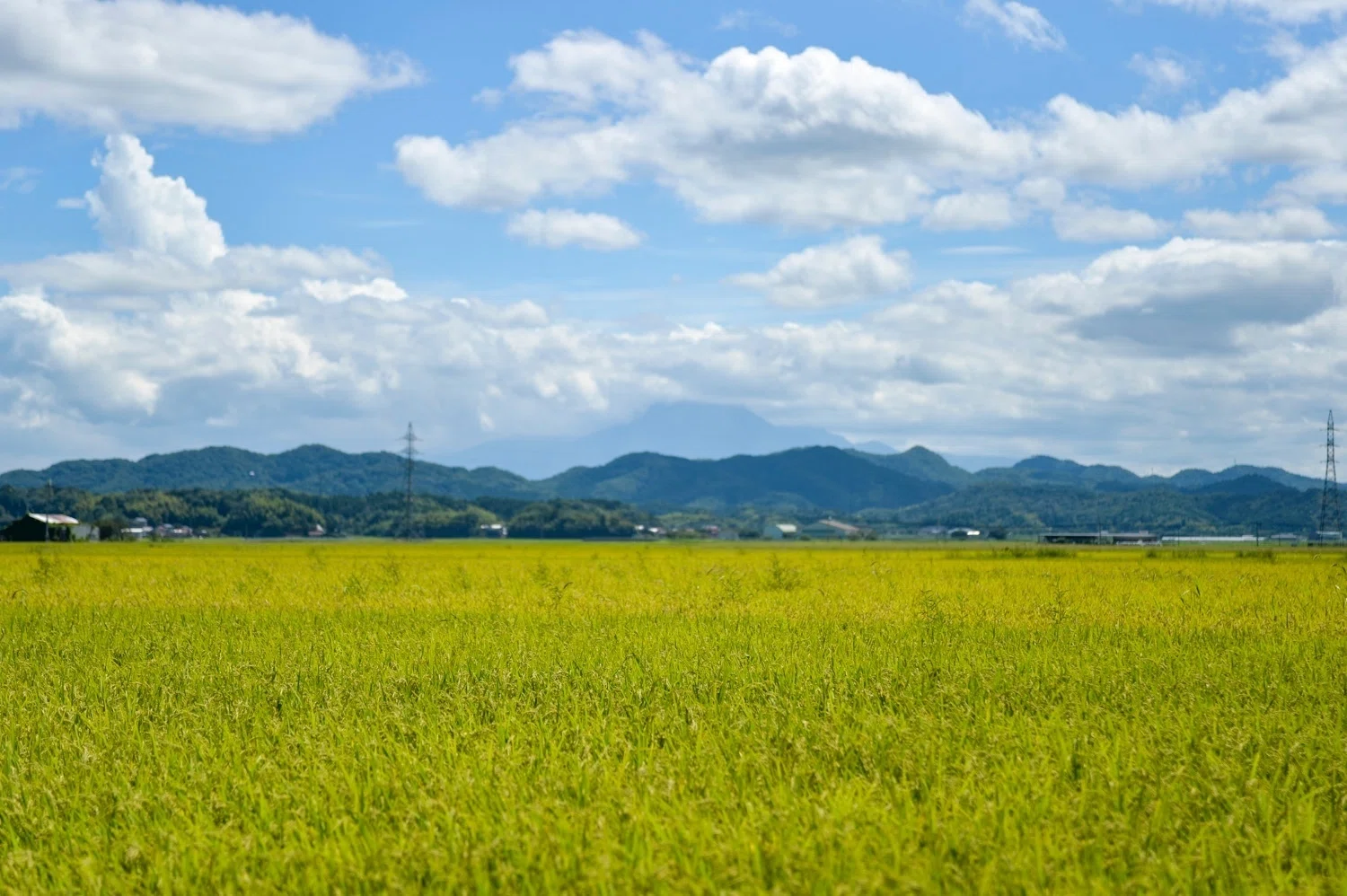 青空と田んぼの風景。｜くらしアトリエ(地域と暮らしの発信）