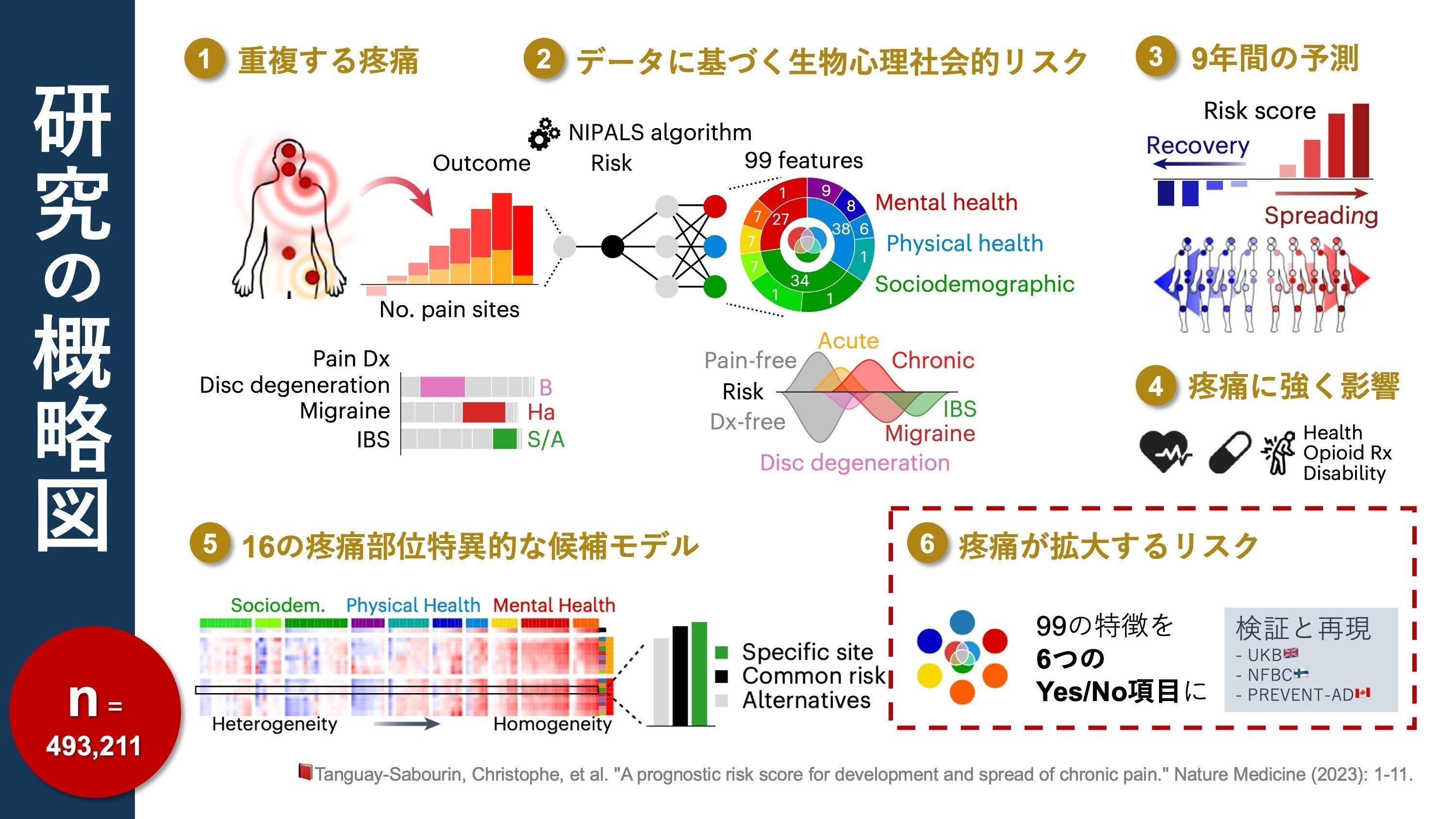 慢性痛の心理療法ABC Amazon.co.jp: 慢性痛の心理療法ABC : 山本 達郎: 本