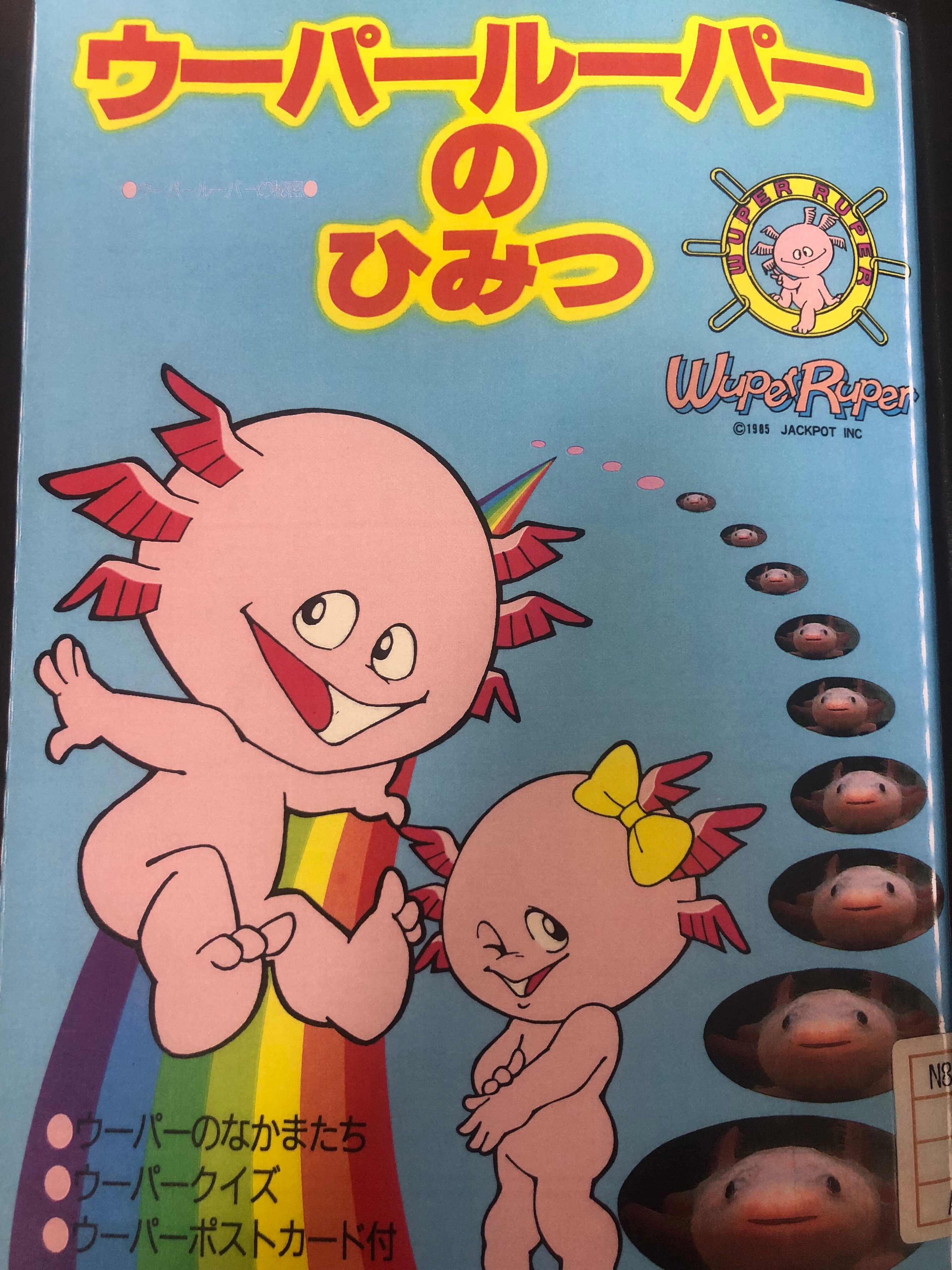ウーパールーパー」という名前はどこから来たのか？｜無限テディベア
