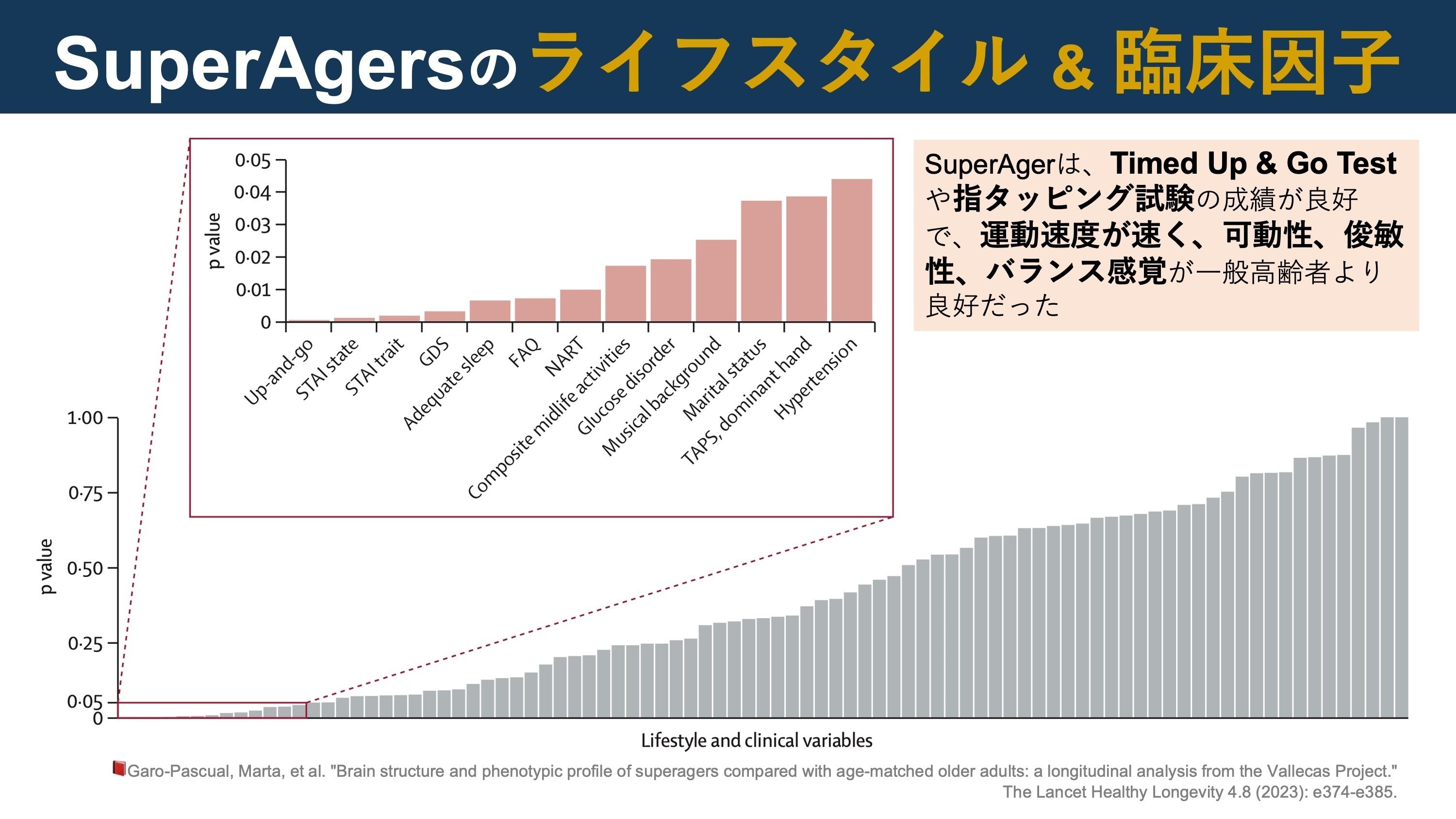 SuperAgerの特徴｜Super Human | 理学療法士／保健学博士 Ph.D.