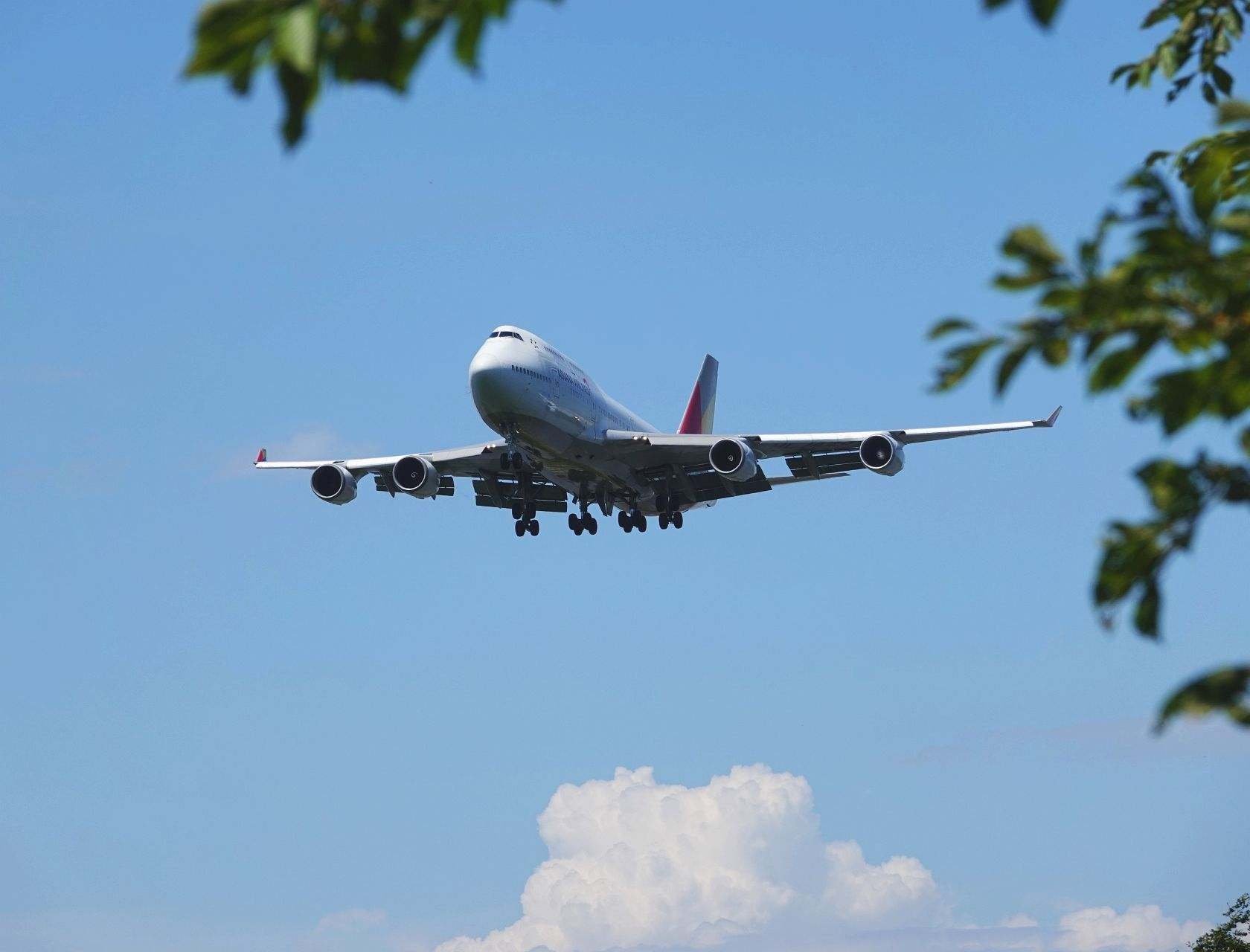 ジャンボ機、新千歳に|やぶ悟空 ジャンボ機、新千歳に|やぶ悟空