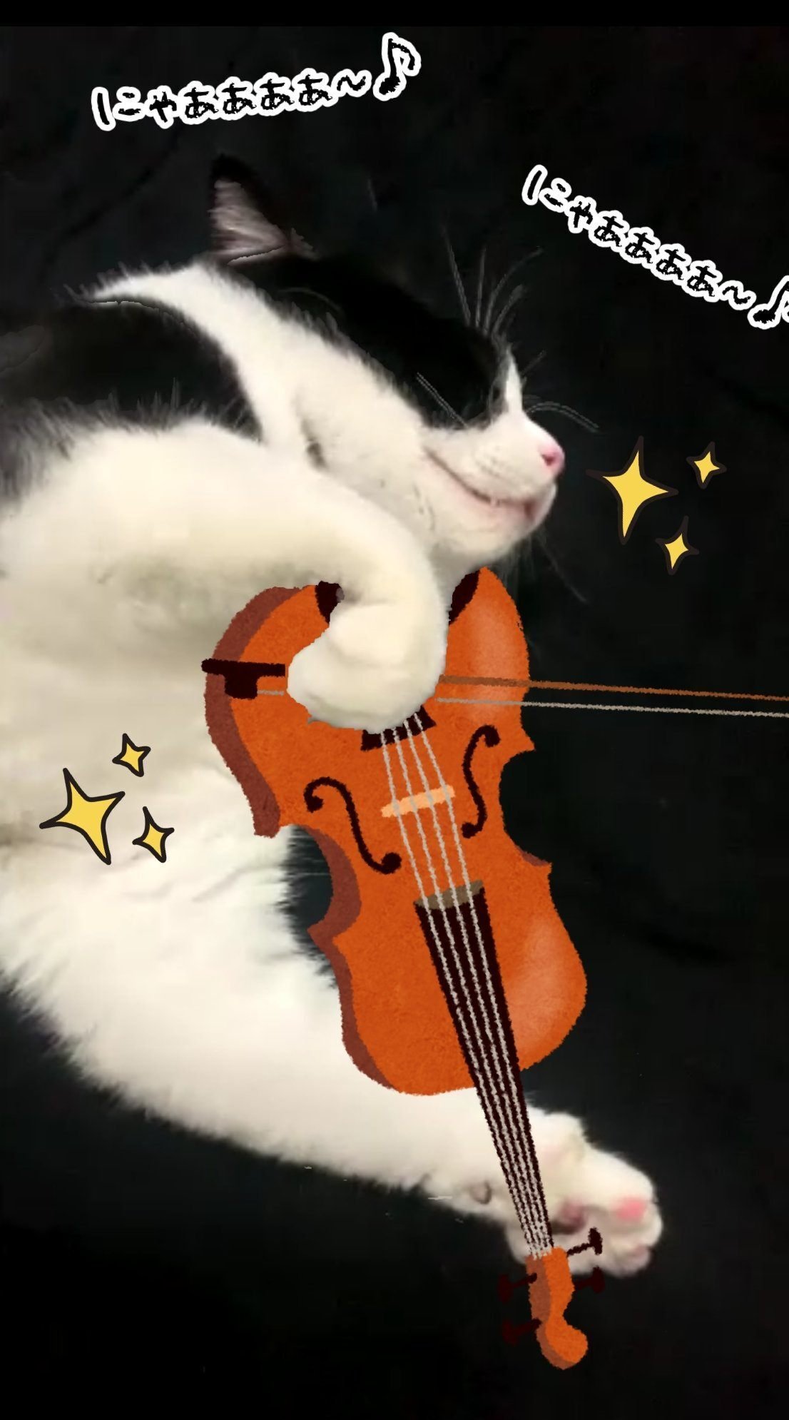 バイオリンのお稽古をする猫