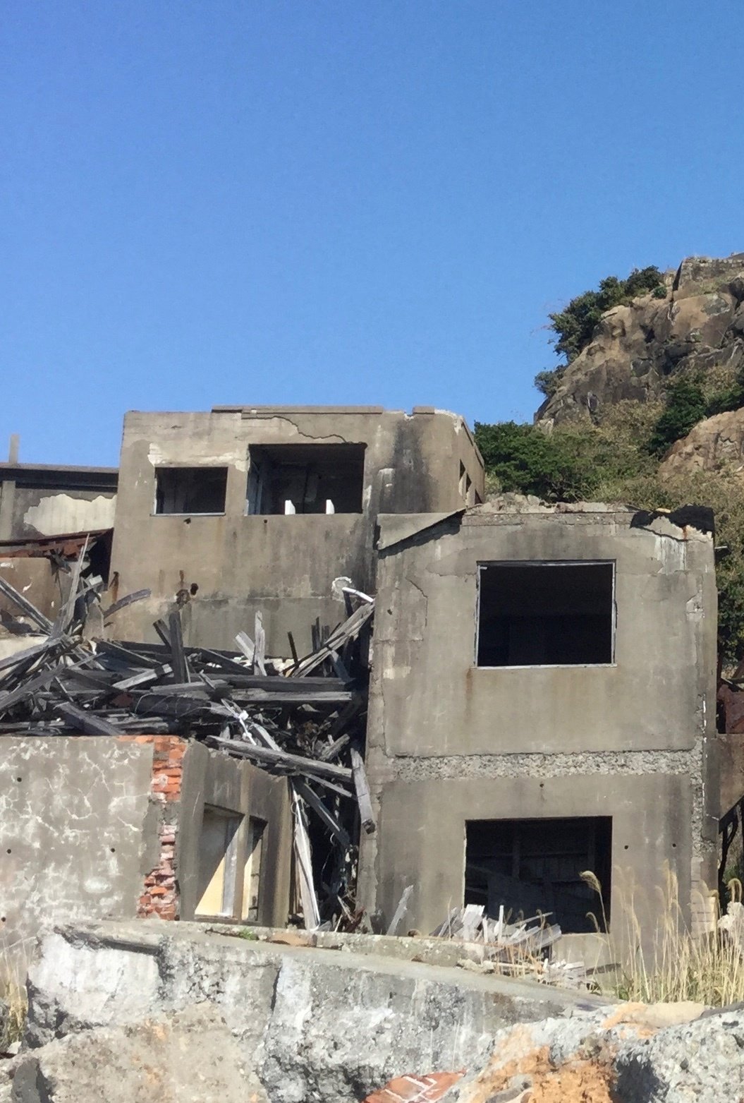 裁断済 廃墟、その光と影 廃墟をめぐる立体的な庭園!?ARシティオフィスが設計した荒廃した