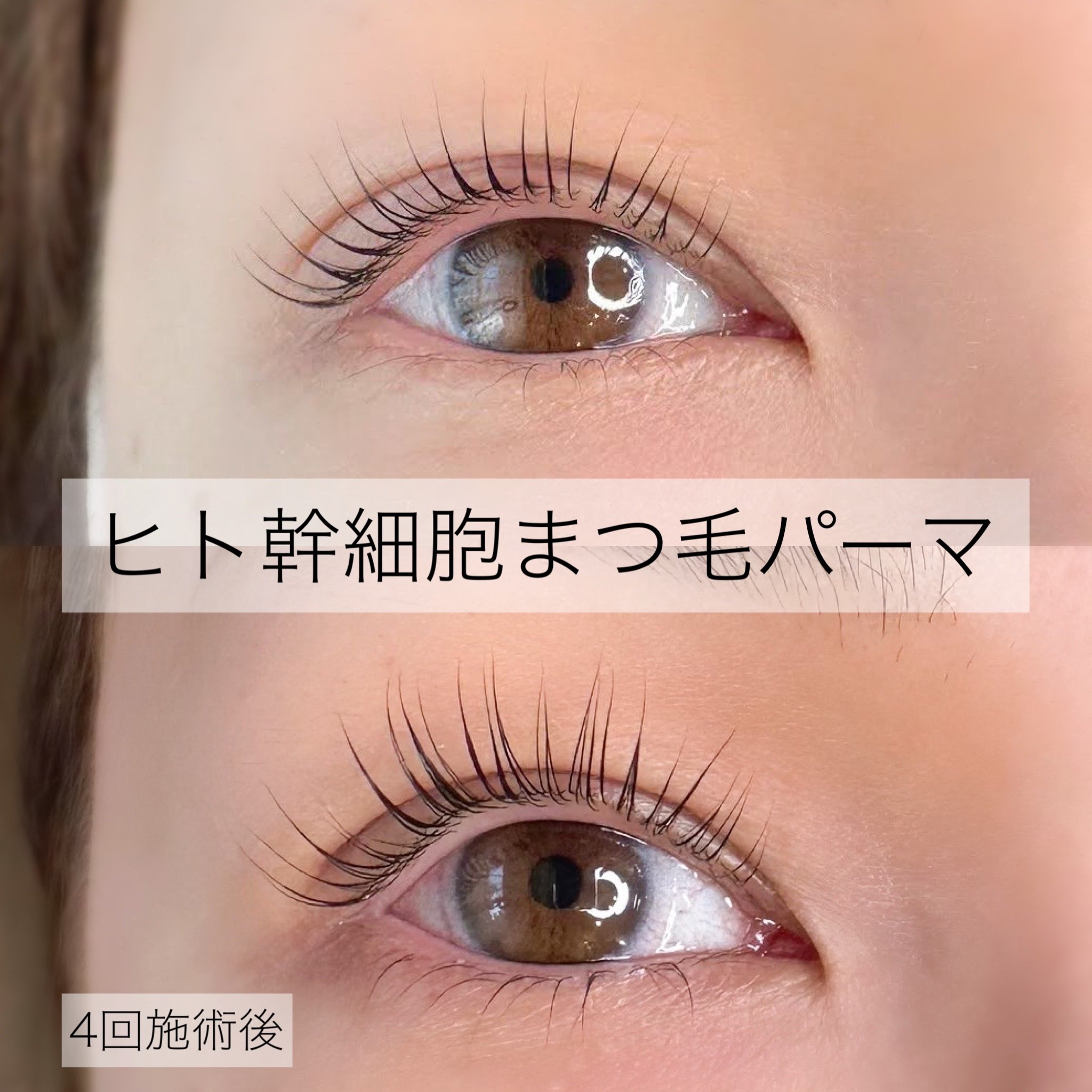 【未開封】マツゲパーマ用　エッセンス 楽天市場】国産 レジーナ バイオスキン マネキンセット まつげ