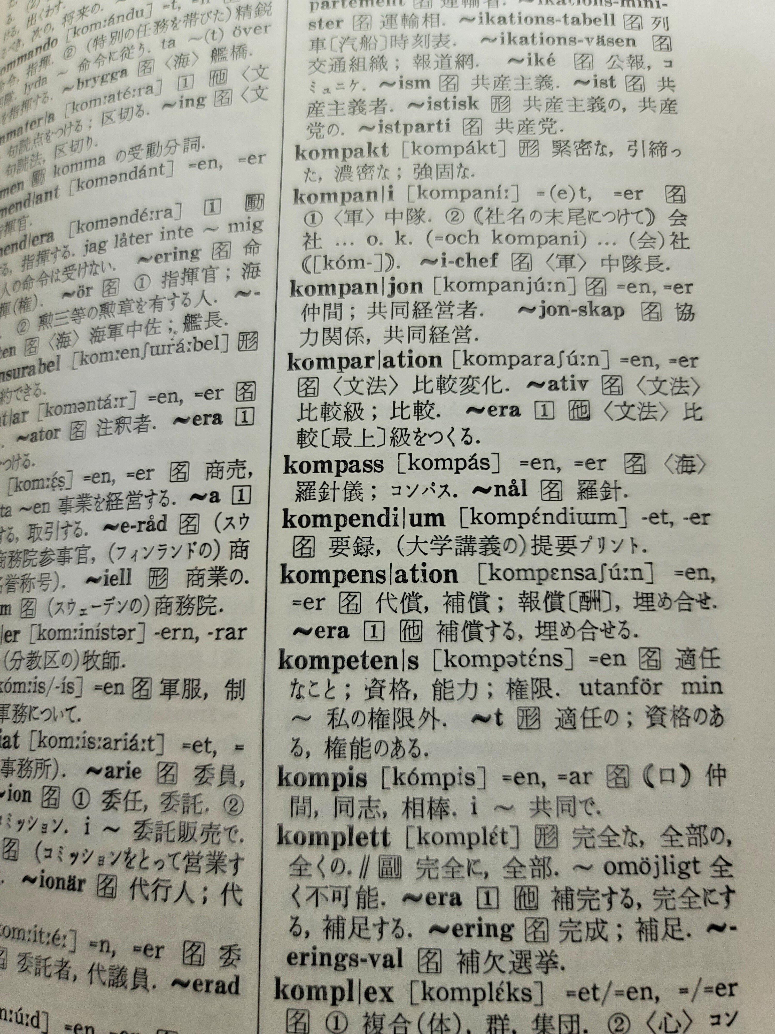 ついに買ってしまったスウェーデン語辞書、、｜みかっち ～外国語