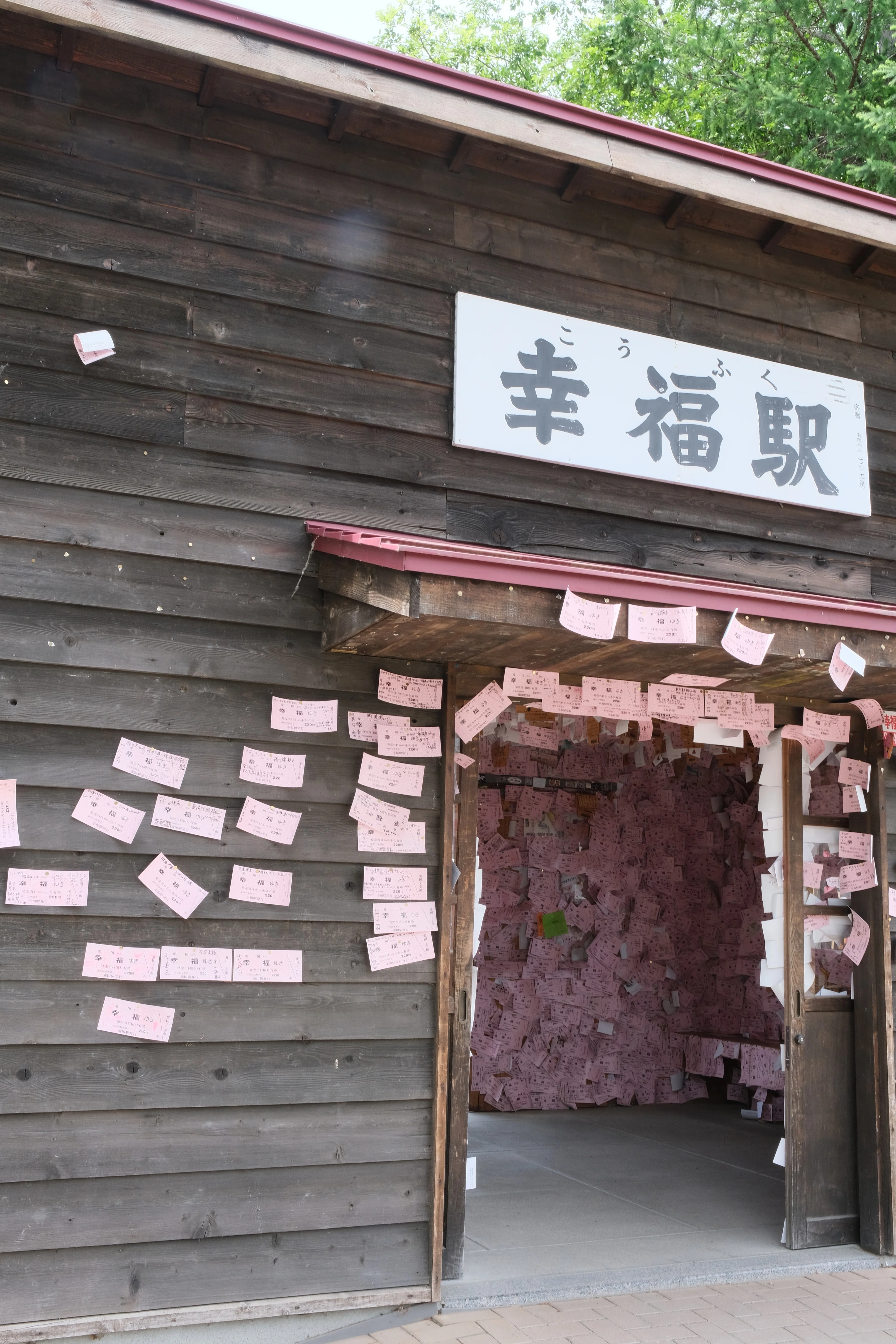 夏から逃げて道東 ラッコとシャチに会う旅｜funwarioisii