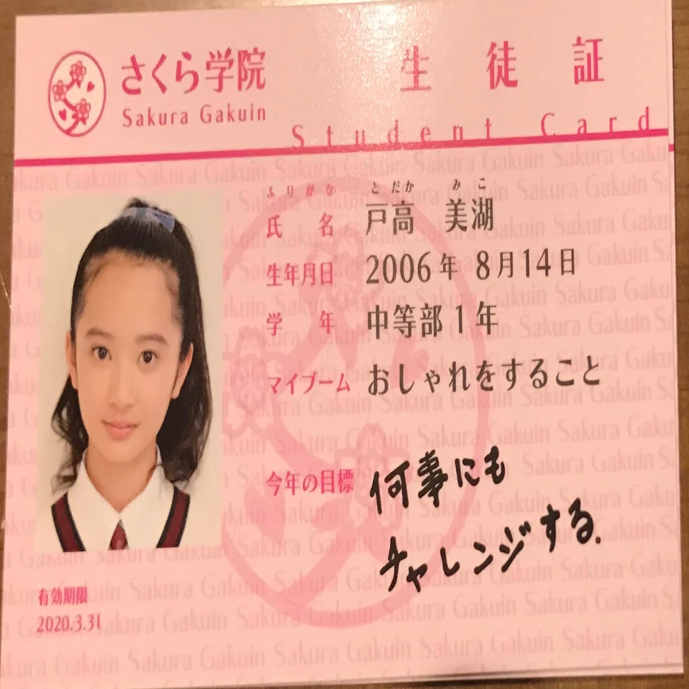 序論 BABYMETAL さくら学院?そして戸高美湖様との出会い｜ぐんぐん-解