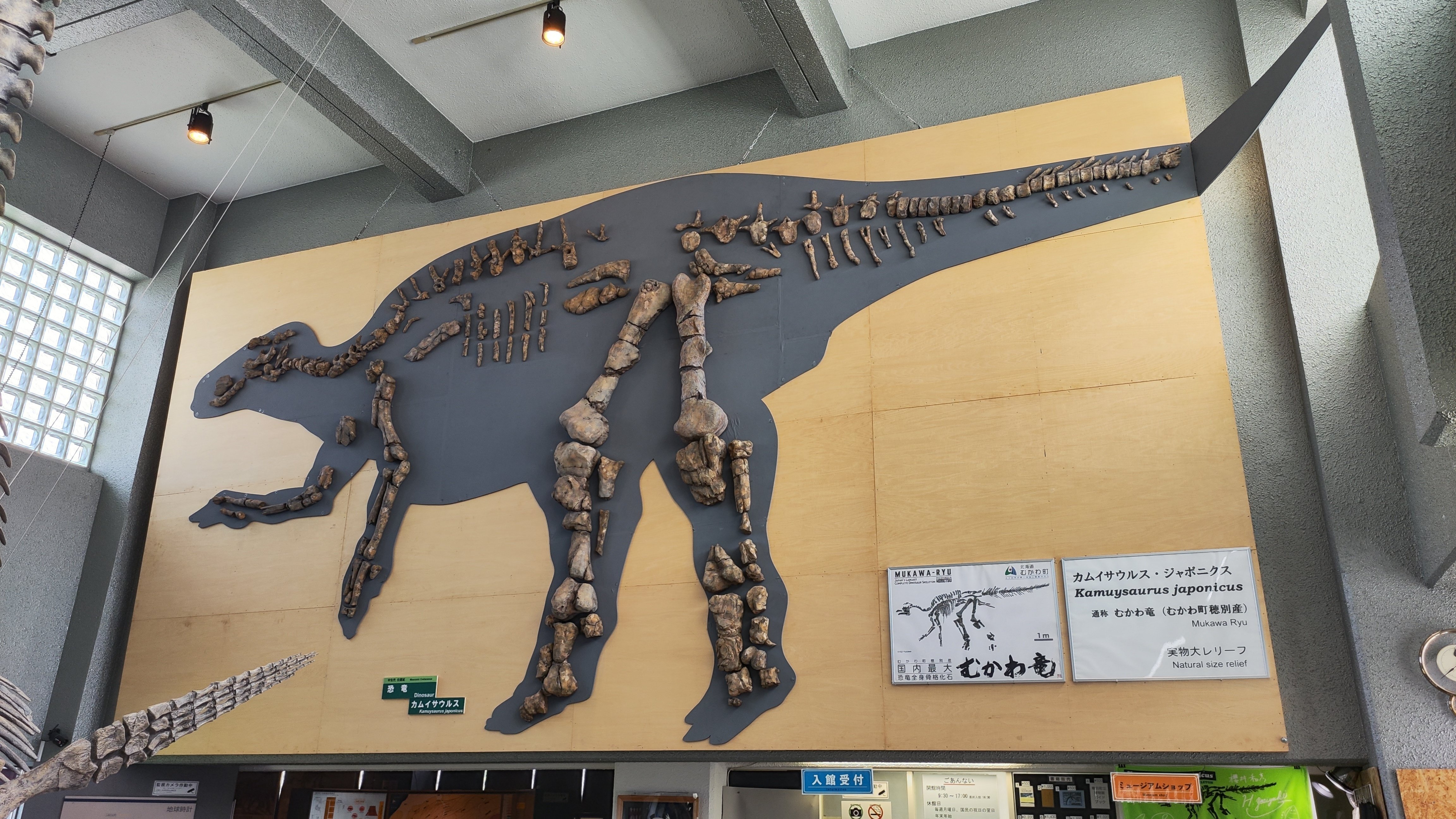 博物館】むかわ町立穂別博物館｜もんばん