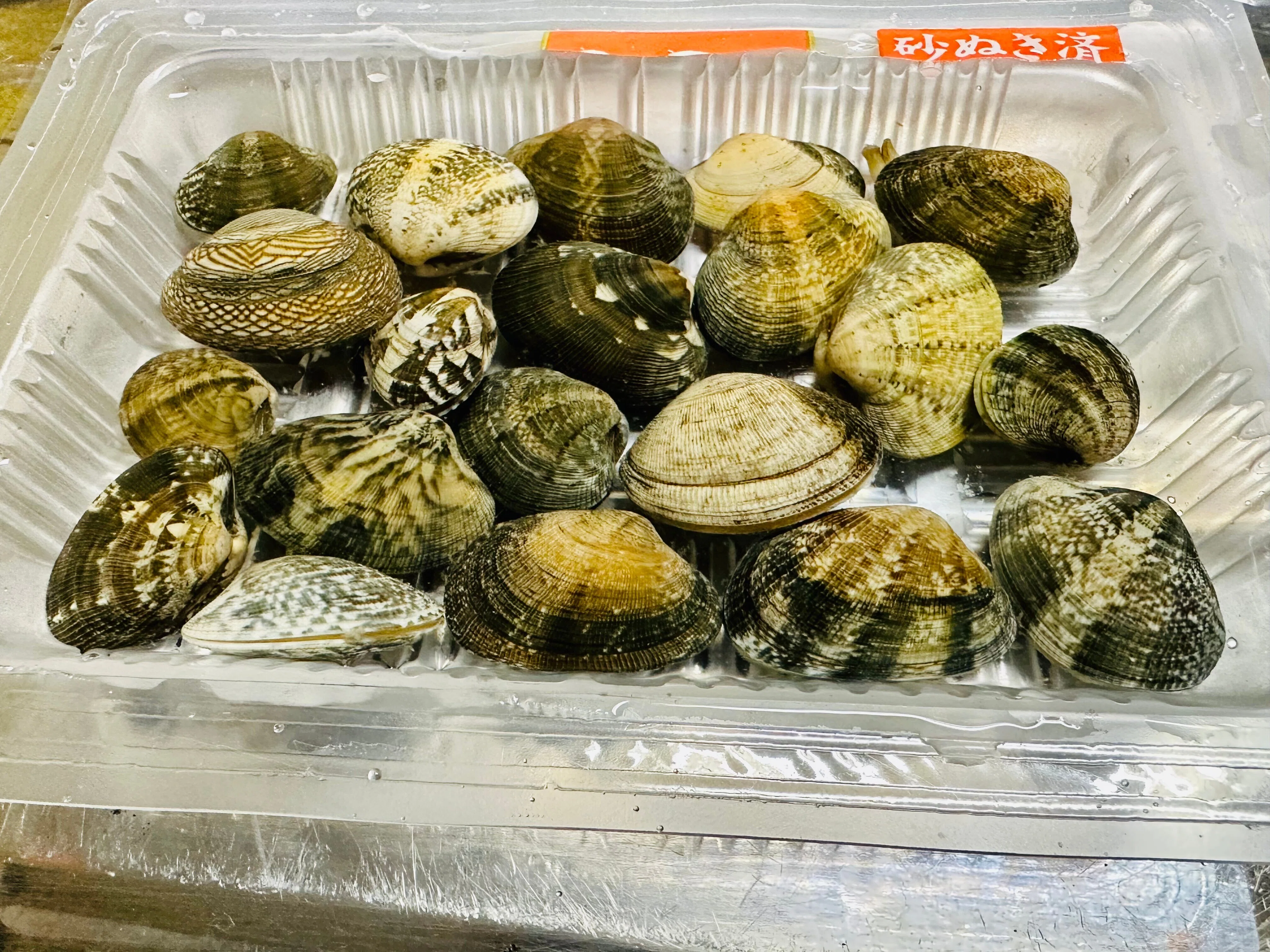 あさりの貝殻の豊かな世界｜あさりの魅力研究家/朝理多サリア
