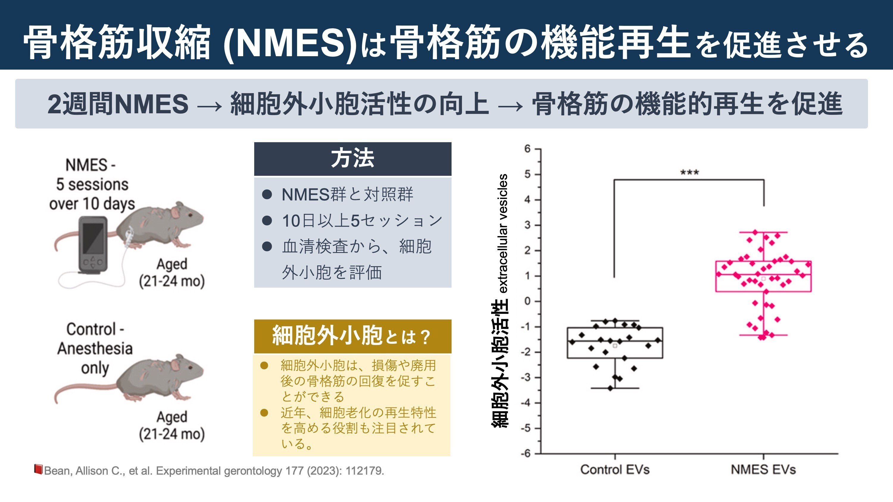 筋骨格系理学療法を見直す 81xJFkYLsKL._UF350,350_QL50_.jpg