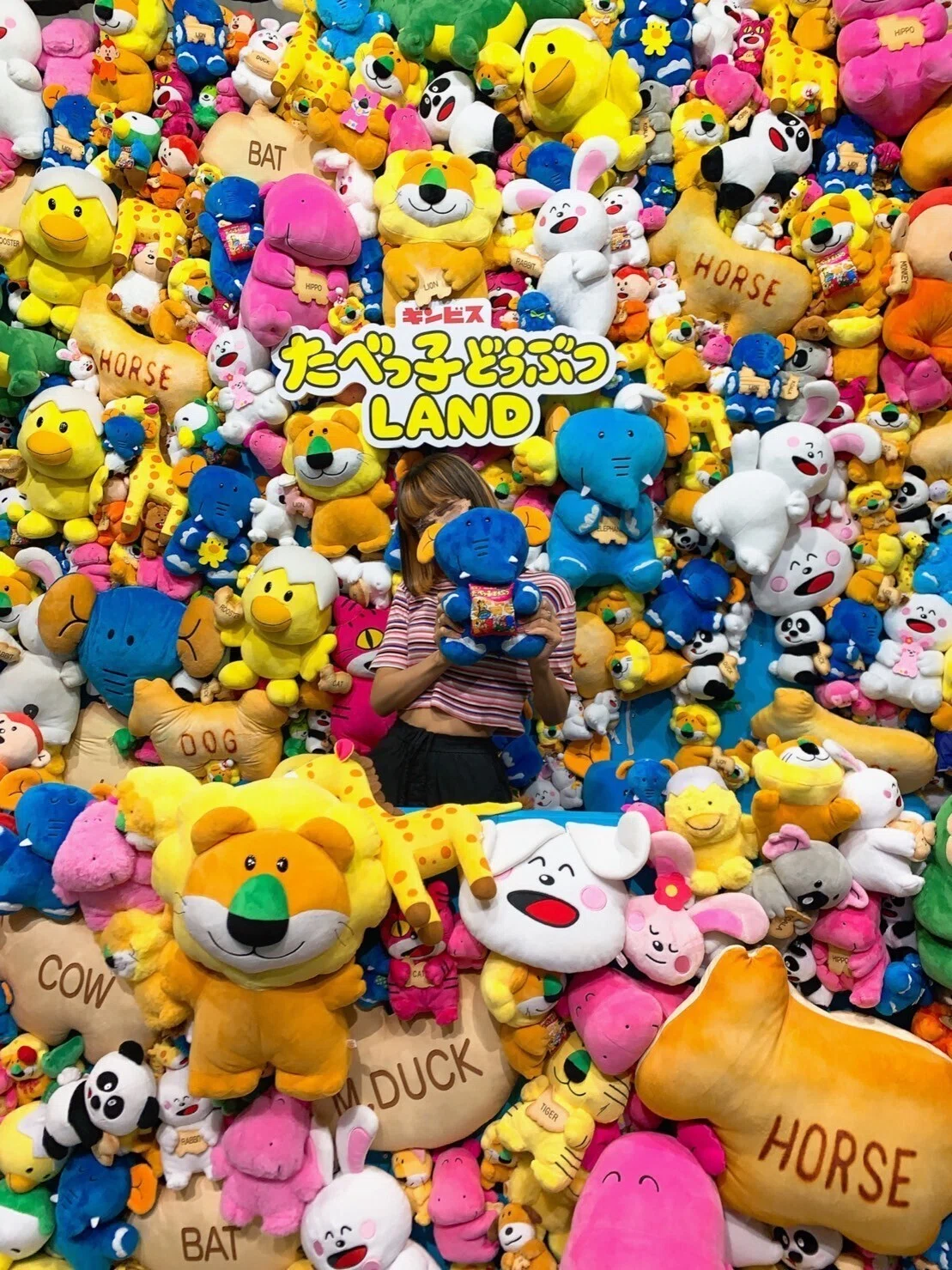 たべっ子どうぶつ ぬいぐるみ まとめ売り たべっ子どうぶつLAND 推し活レポ】たべっ子どうぶつLAND行ってきた🦁💗｜IZANAMI編集部
