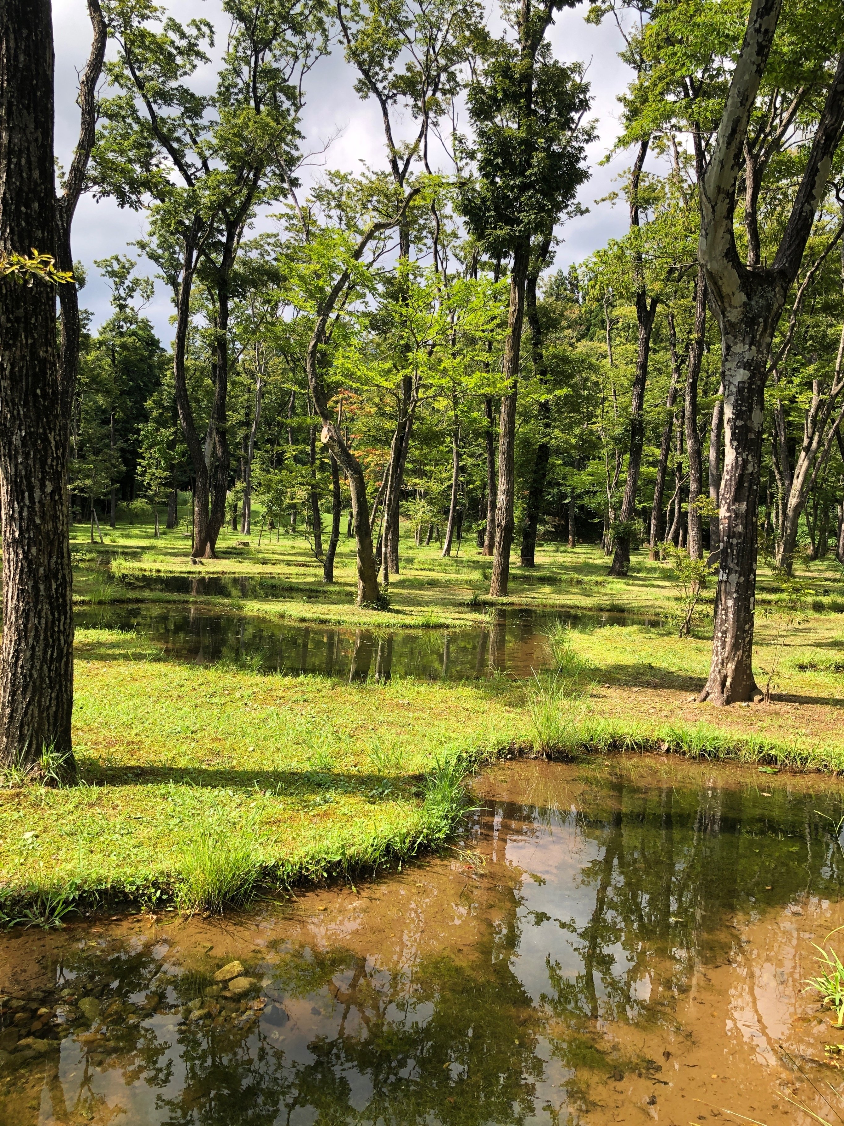 art biotop：水庭」石上純也｜hirocomic