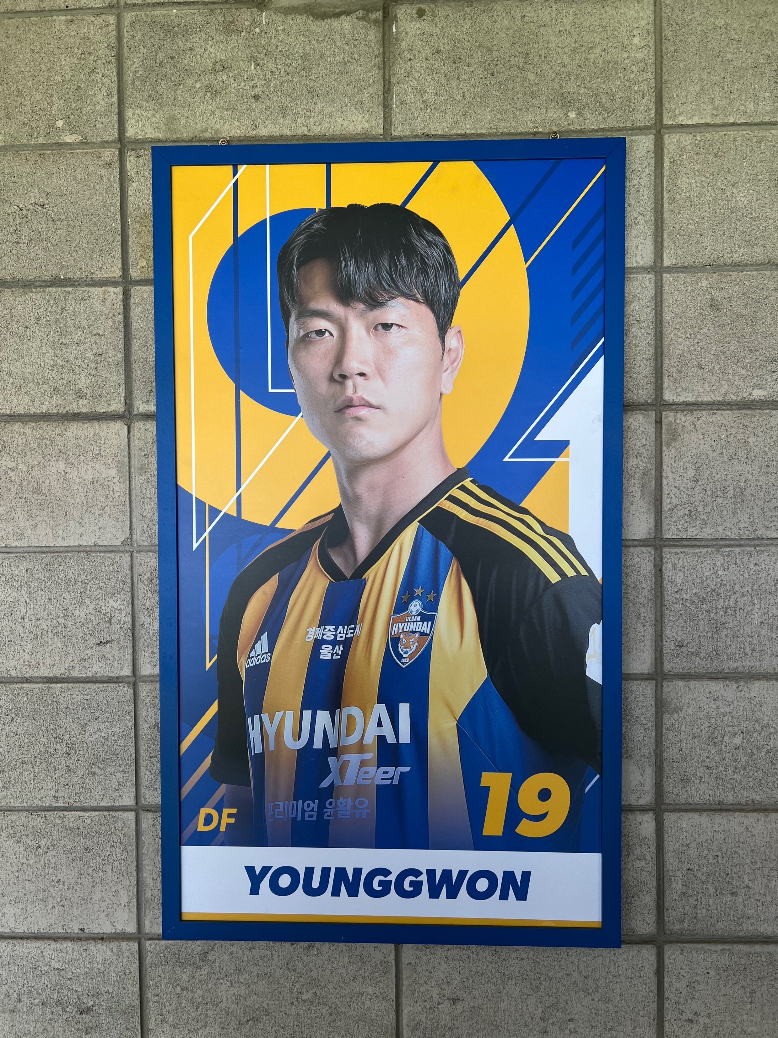 23-24 ACL前 蔚山現代チーム紹介｜YJ
