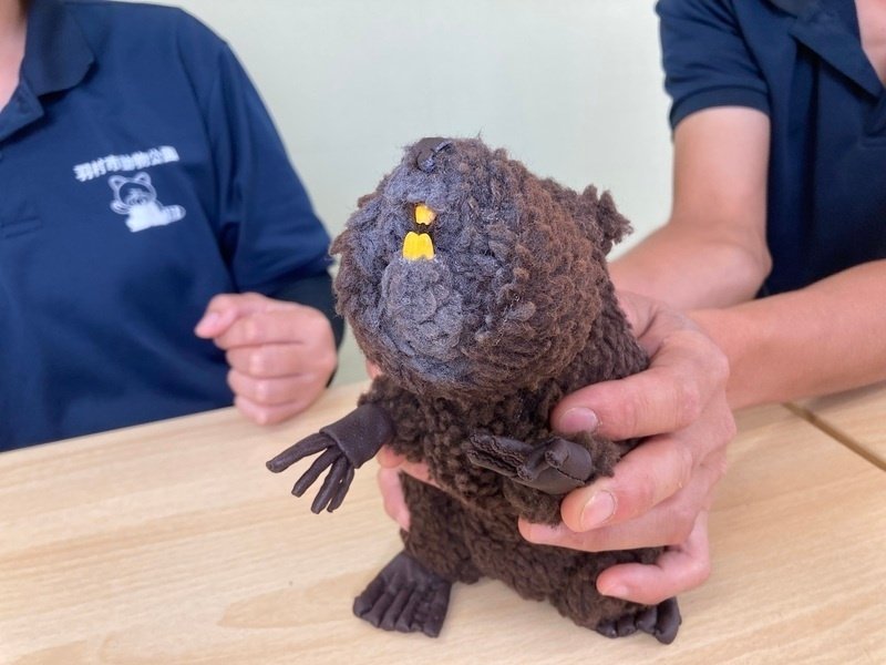 アメリカンビーバー ぬいぐるみ 【まーゆべいびさまリクエスト】 アメリカンビーバー ぬいぐるみ 【まーゆべいびさまリクエスト
