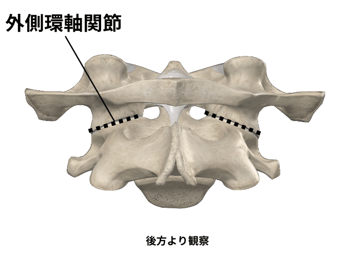 頭頸部の理解と臨床評価・アプローチ｜理学療法士による臨床の