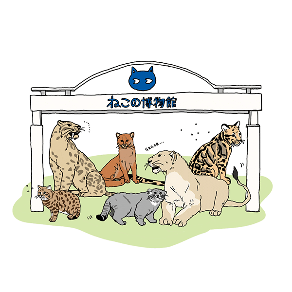 ねこの博物館で出会う、ネコ科の動物たち｜ヤマト運輸公式note
