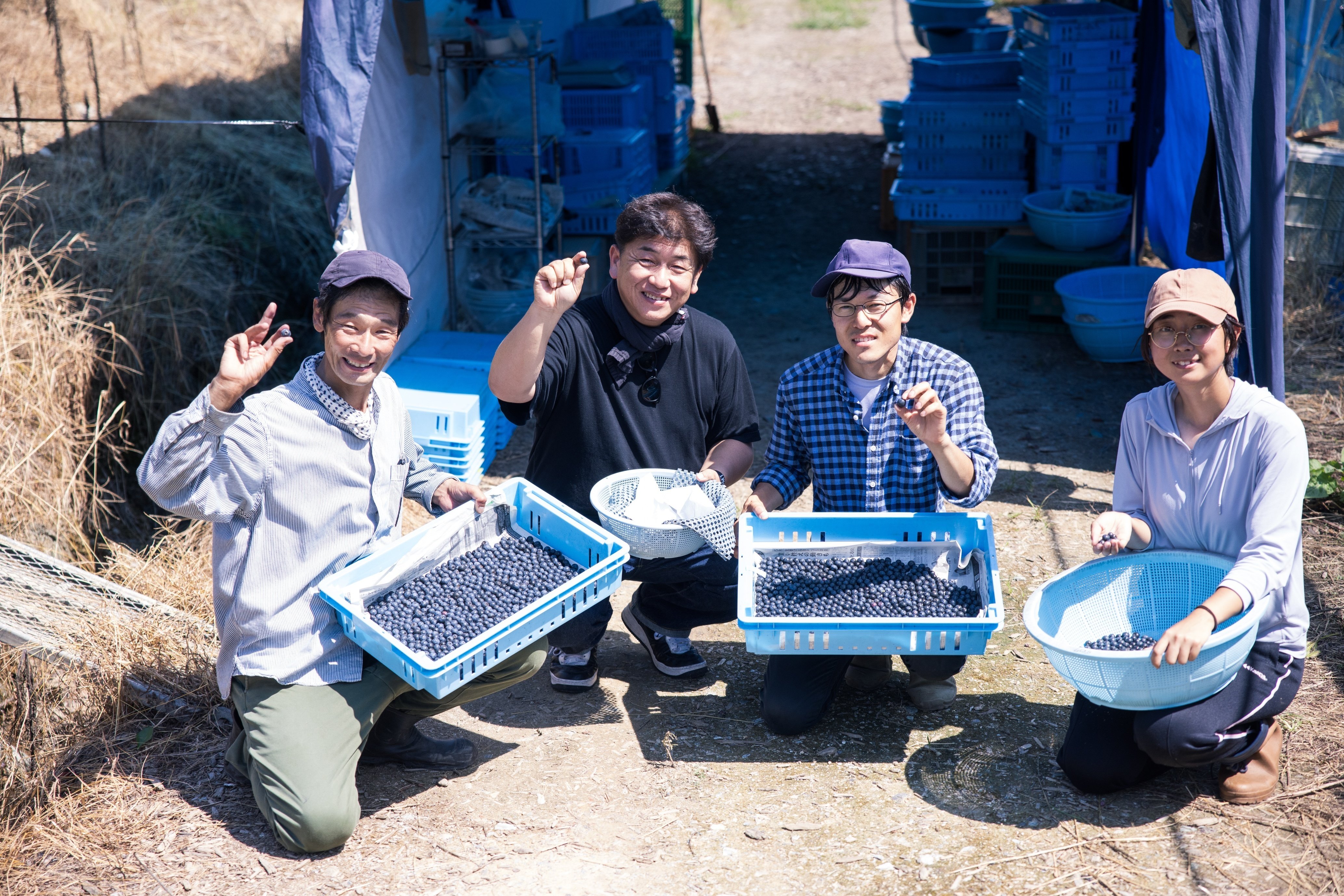 農業の産業化、地域の活性化を目指して。こだわりのフルーツを全国に