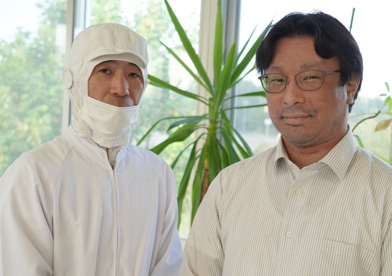 板状かりんとう「銭函金助」。北海道最古のかりんとうの技が生み出す艶やかさと薄さ約0.8ミリへの挑戦