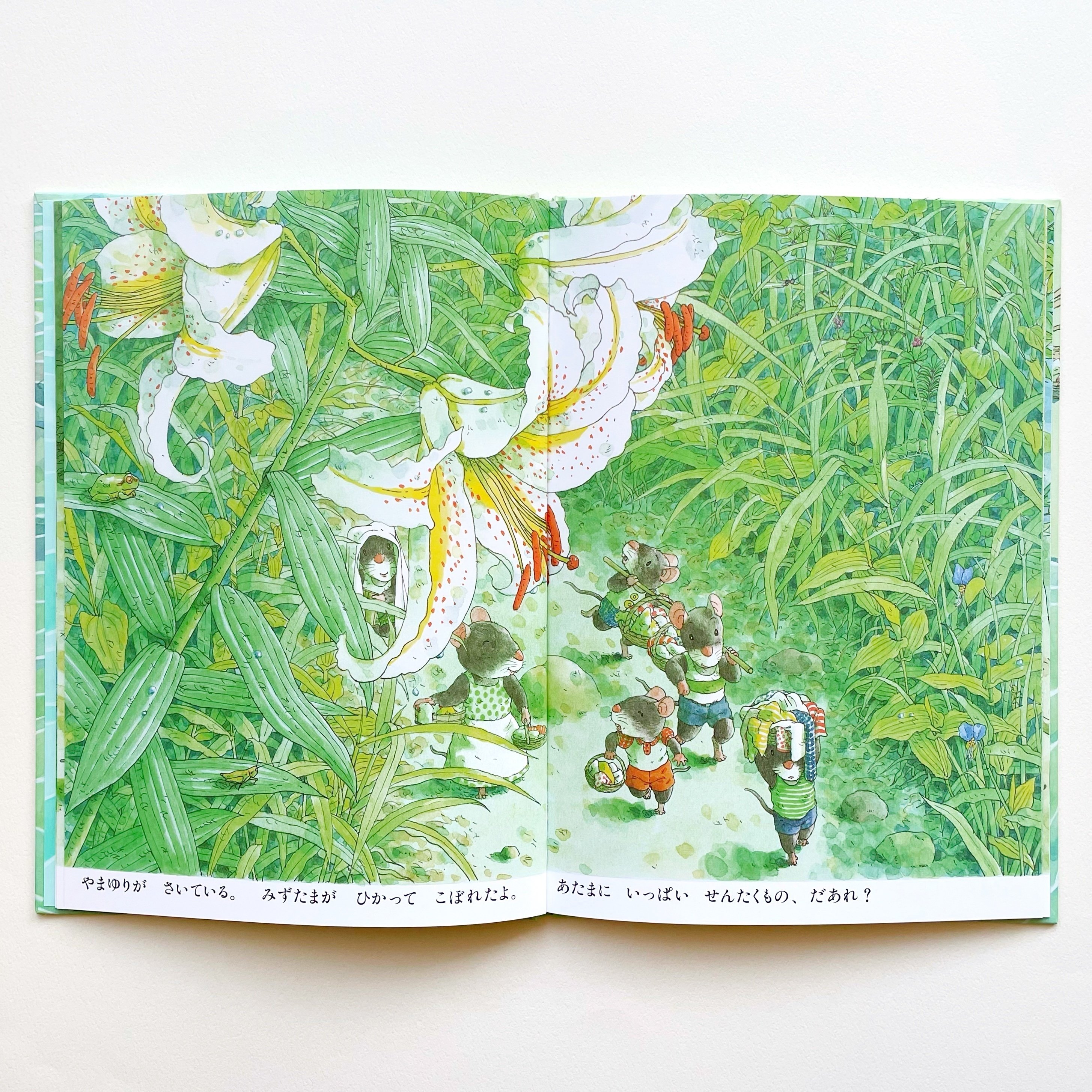 連載⑦＞水辺のここちよい空気が伝わる『14ひきのせんたく』｜童心社