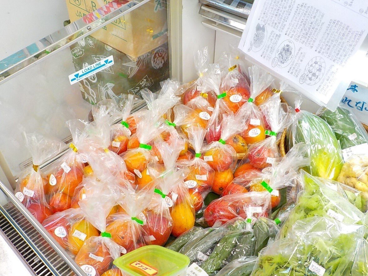 マンゴー様 專用 ドール 完熟マンゴー ｜商品情報｜ファミリーマート