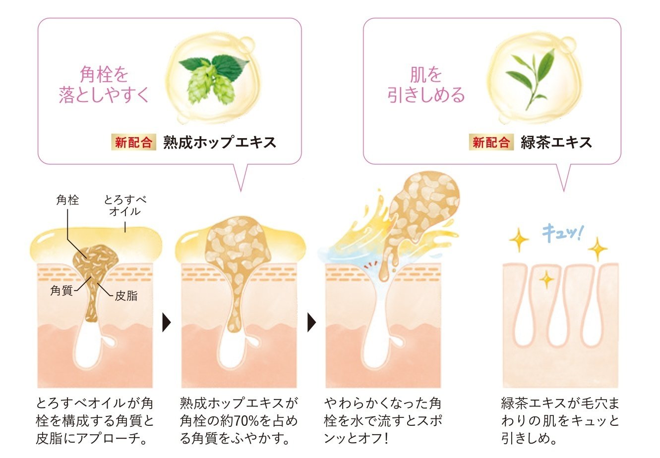 ビールの原料ホップがファンケルの人気商品『マイルド