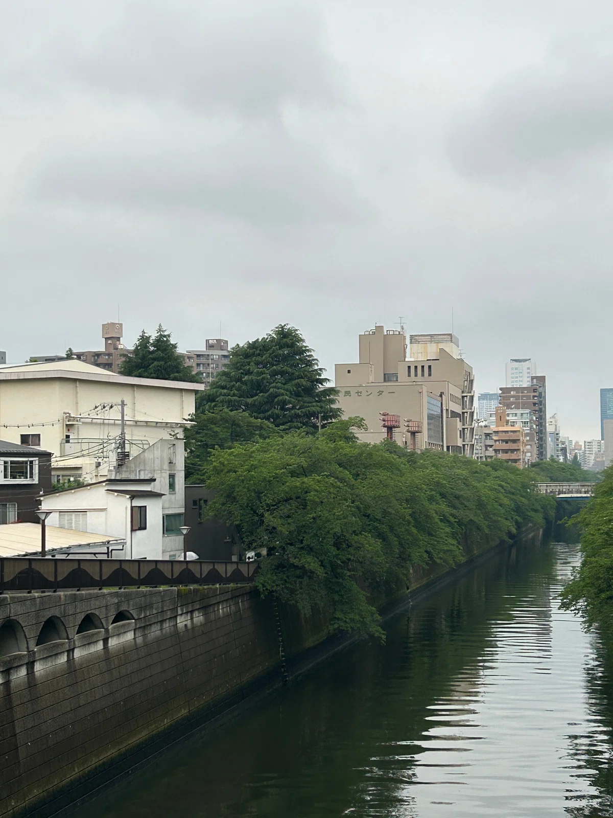 東京合宿〜④横木安良夫写真展「追い越すことのできない時間 Catch it if you can」とギャラリートーク|♭のぶ