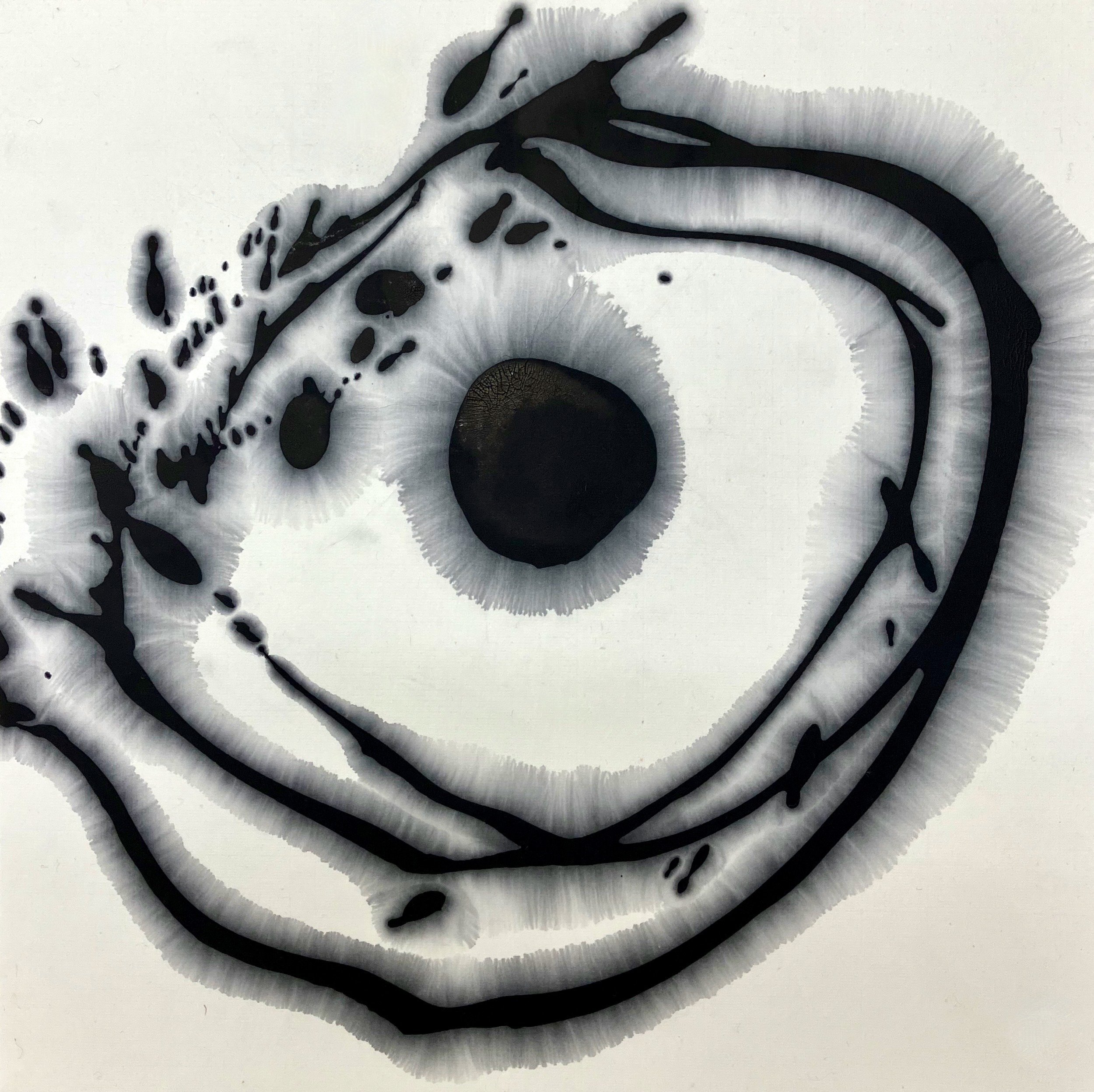 不測の画材、墨。 画面は自然現象を喚起する場となる。｜中嶋宏行