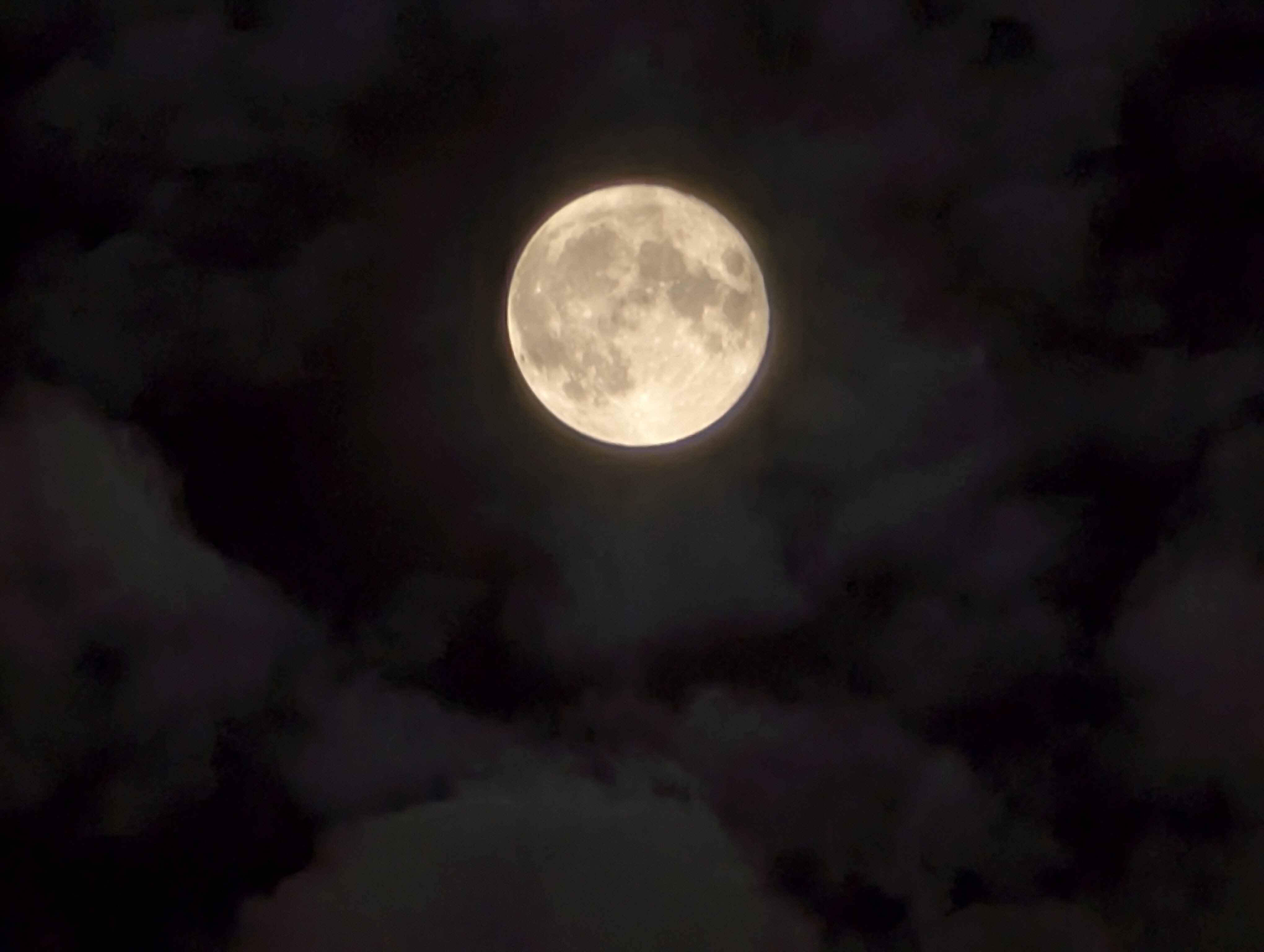 昨夜の月 スーパーブルームーン｜annon