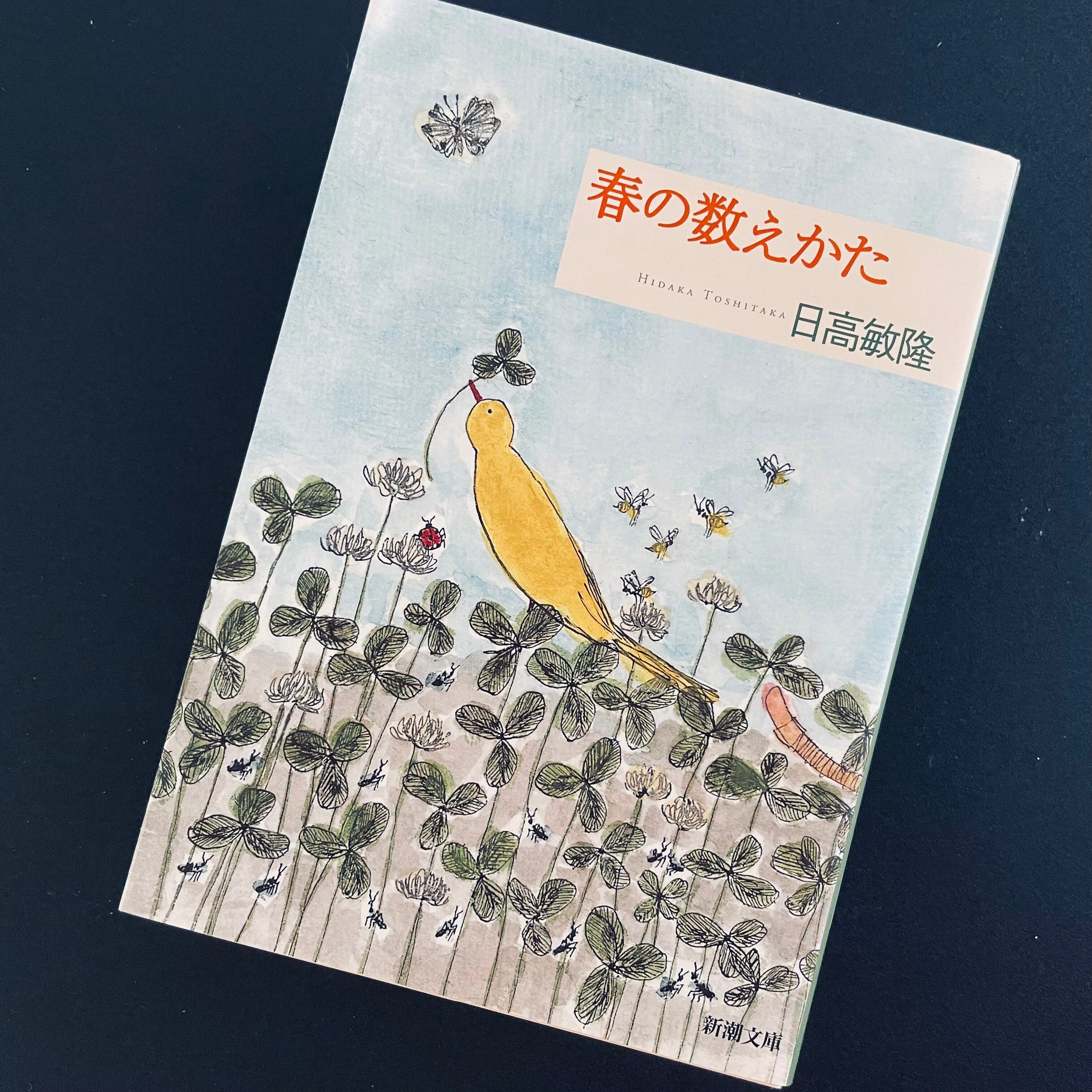 誰が正しいのか」よりも知りたいのは——トーベ・ヤンソン『誠実な詐欺師