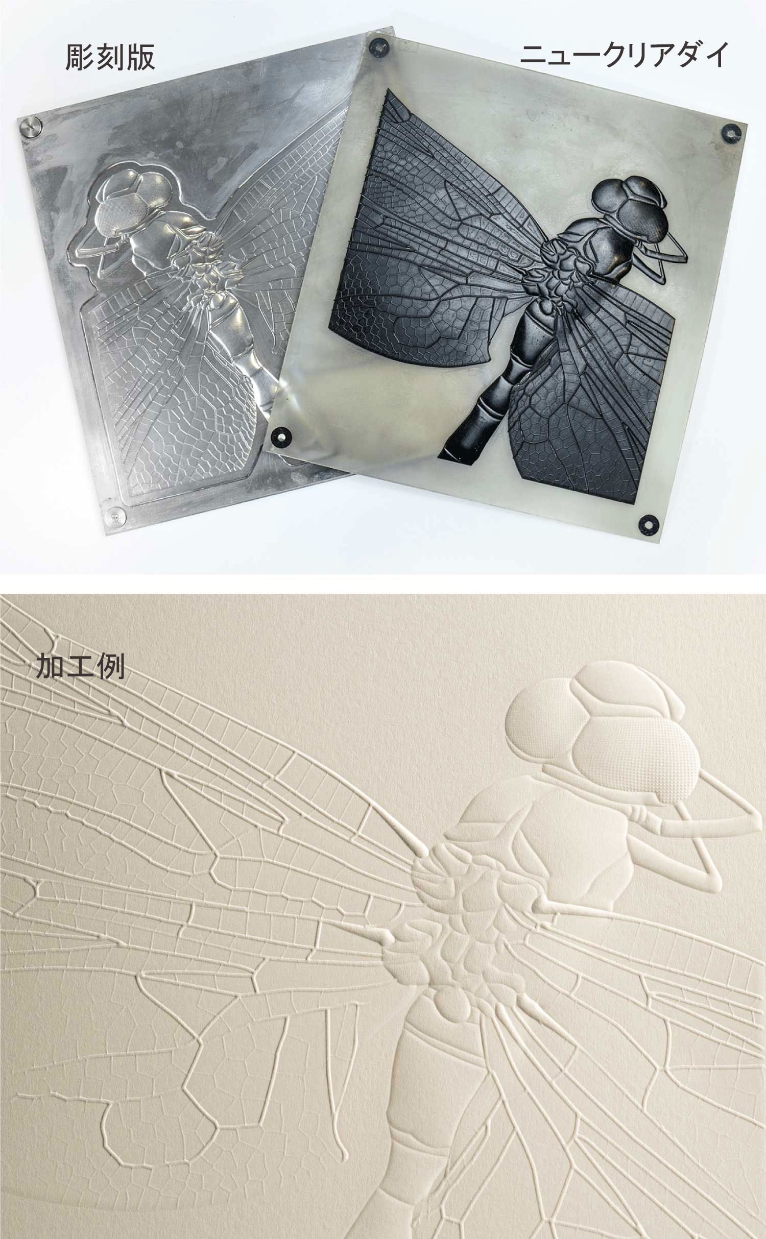 エンボス加工・デボス加工って何ですのん｜ツジカワ株式会社