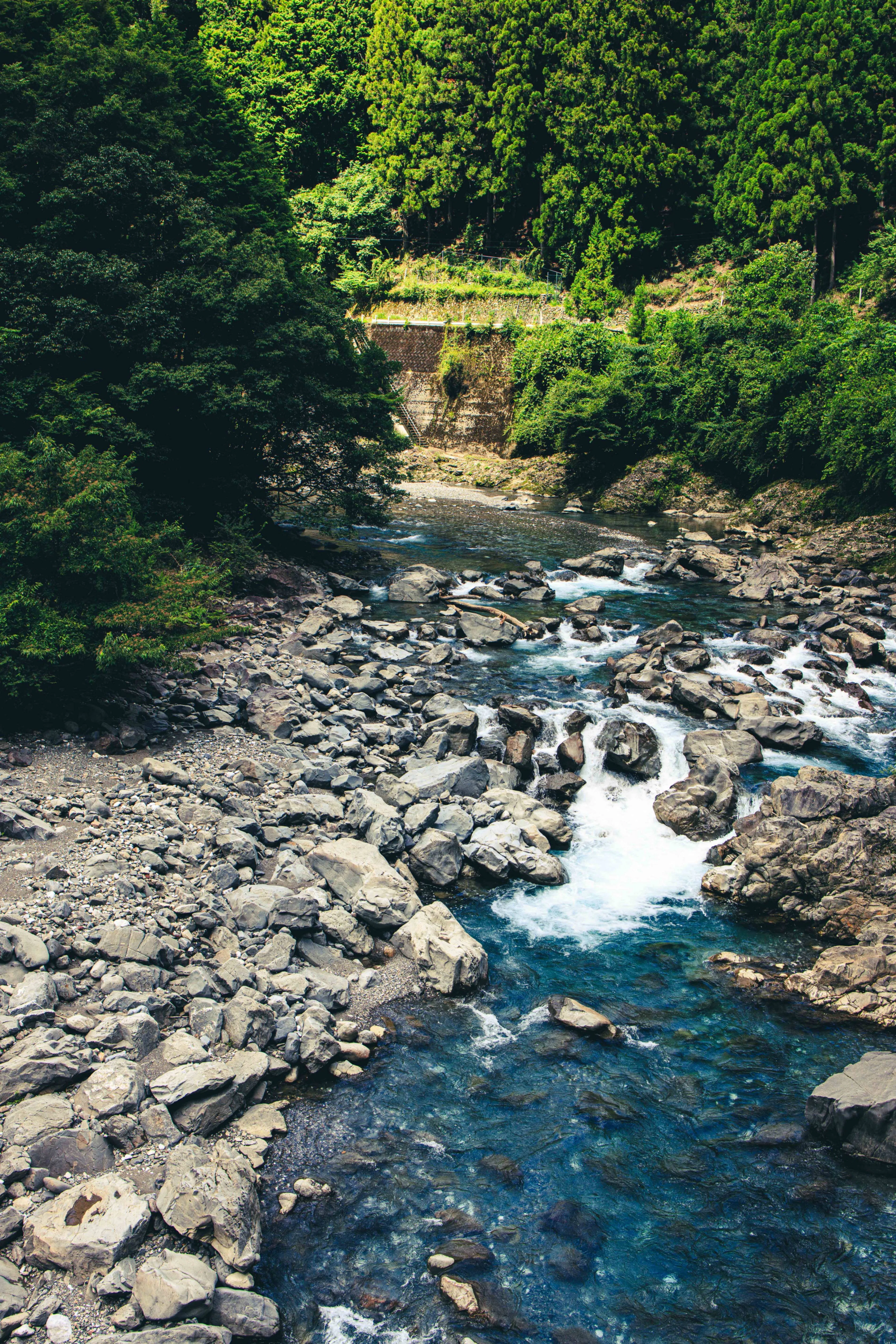 写真と民俗【物部村・いざなぎ流】～呪と祓いと式～｜メダカちゃん