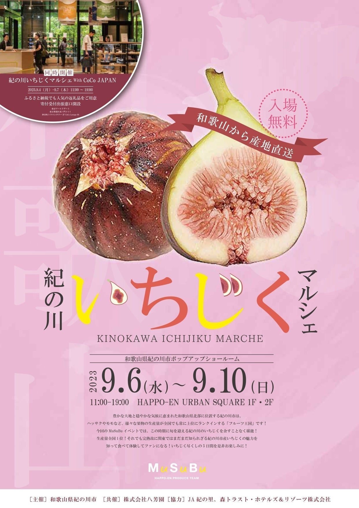 まだ知らないだけかも』旬を迎えた