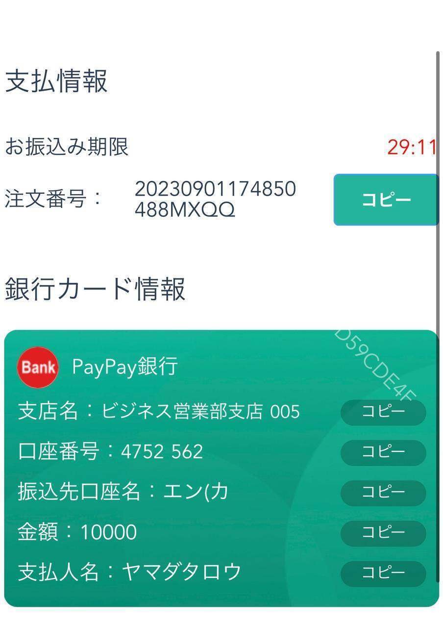 クイーンカジノ決済方法※｜フェアトレード