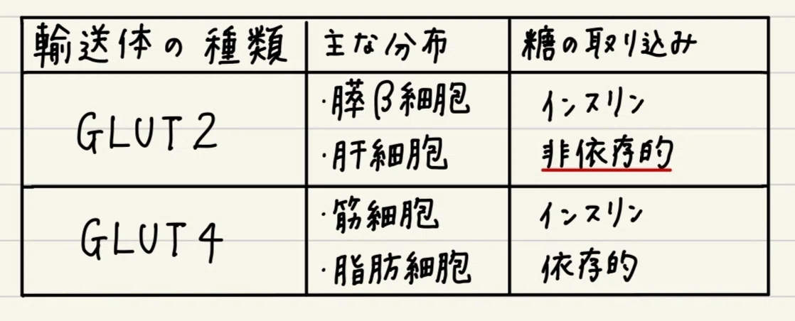 糖尿病の治療