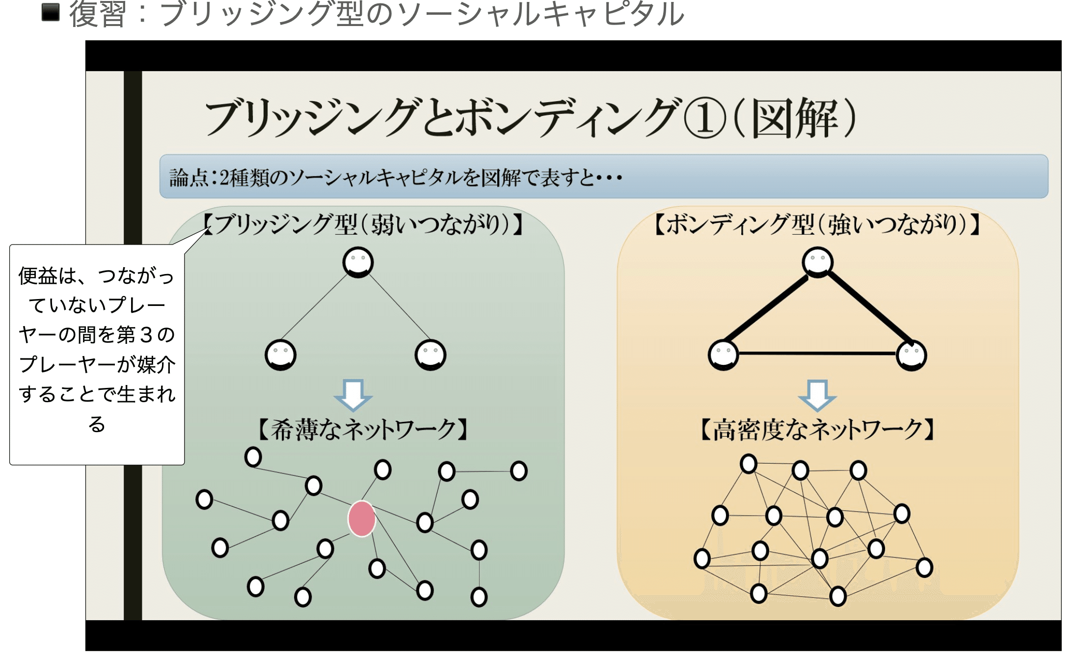 ネットワークとしてのソーシャル・キャピタル：理論と調査