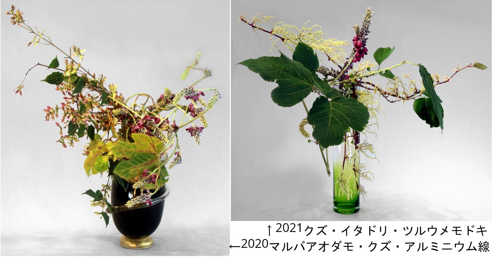 いけばな歳時記 クズ｜広瀬典丈