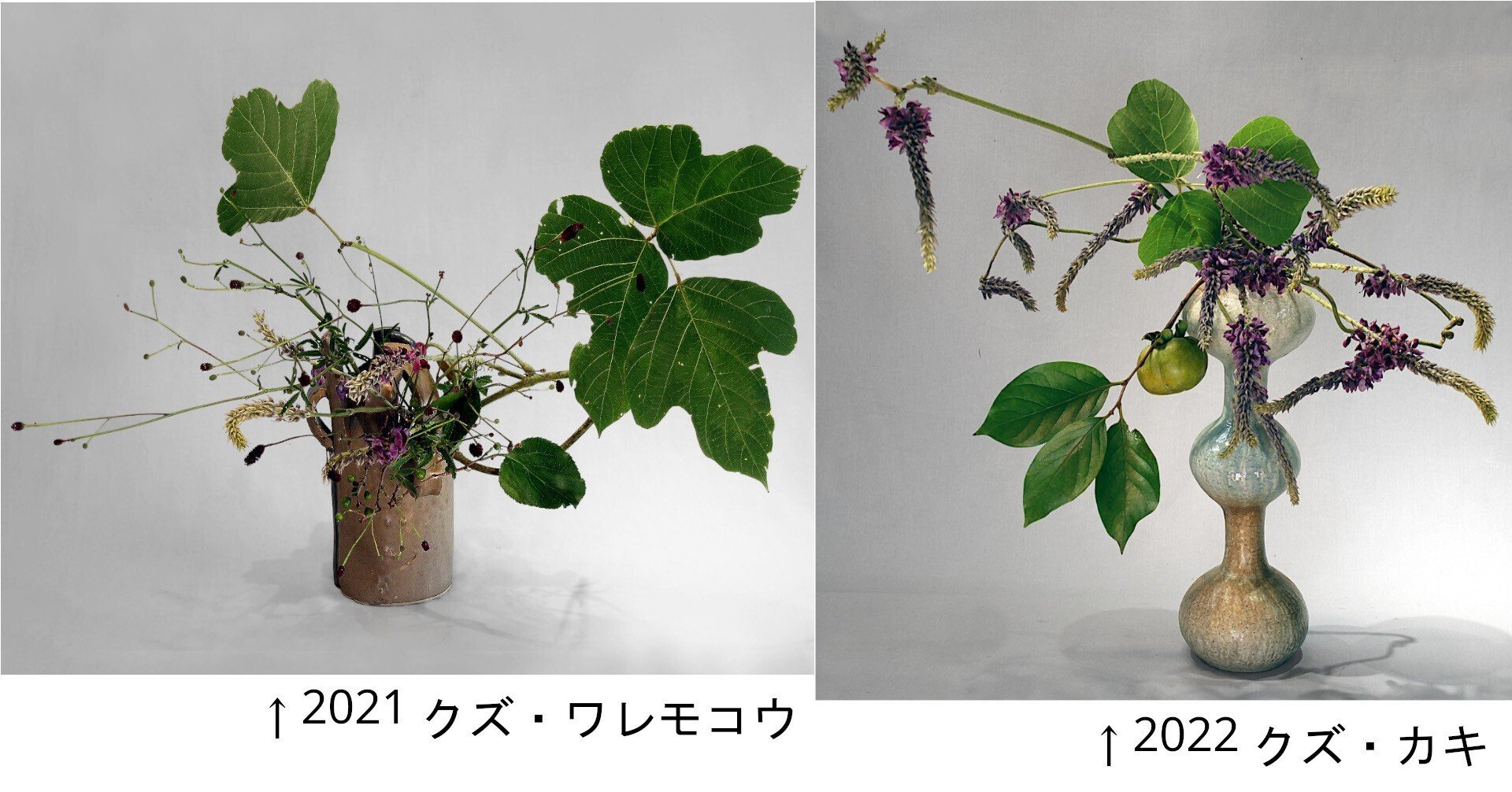 いけばな歳時記 クズ｜広瀬典丈