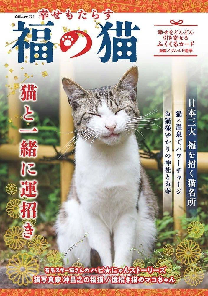 仕事】ねこねこ×開運本｜funeno|イラストレーター