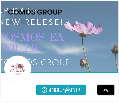 COSMOS GROUPのストア