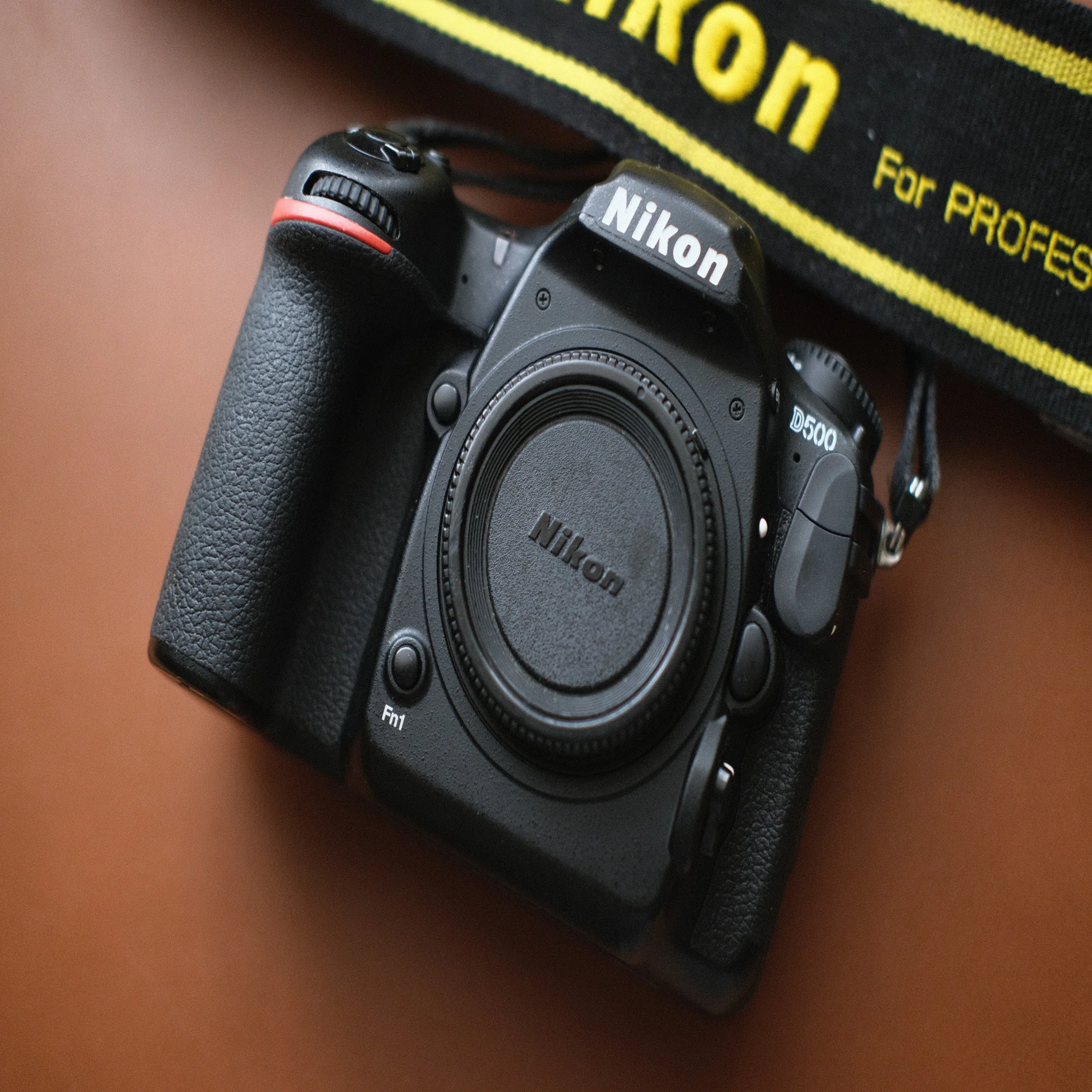カメラが違えば写りも違う 〜NIKON D500〜｜SUKE【カメラと 