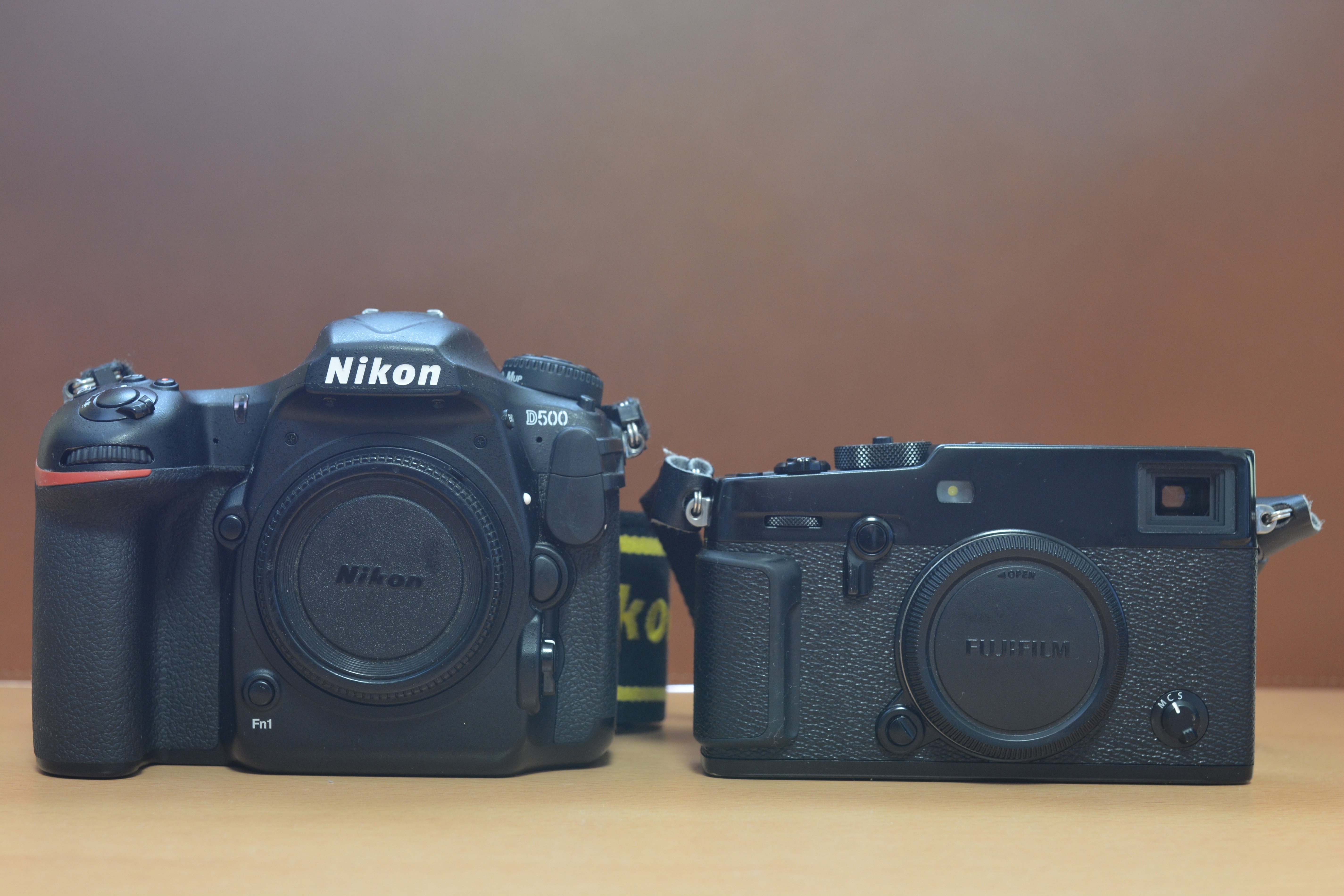 カメラが違えば写りも違う 〜NIKON D500〜｜SUKE【カメラと