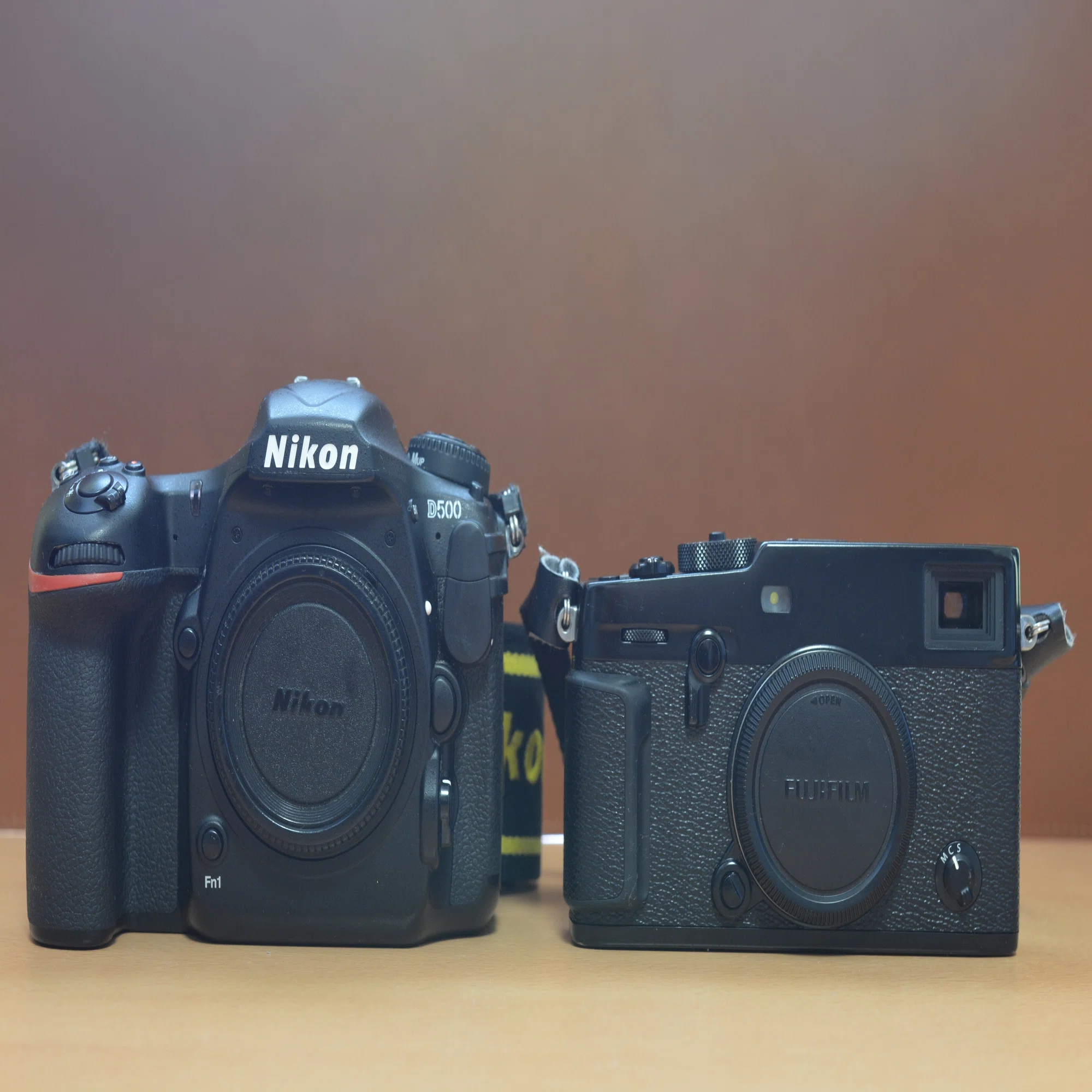 カメラが違えば写りも違う 〜NIKON D500〜｜SUKE【カメラと 