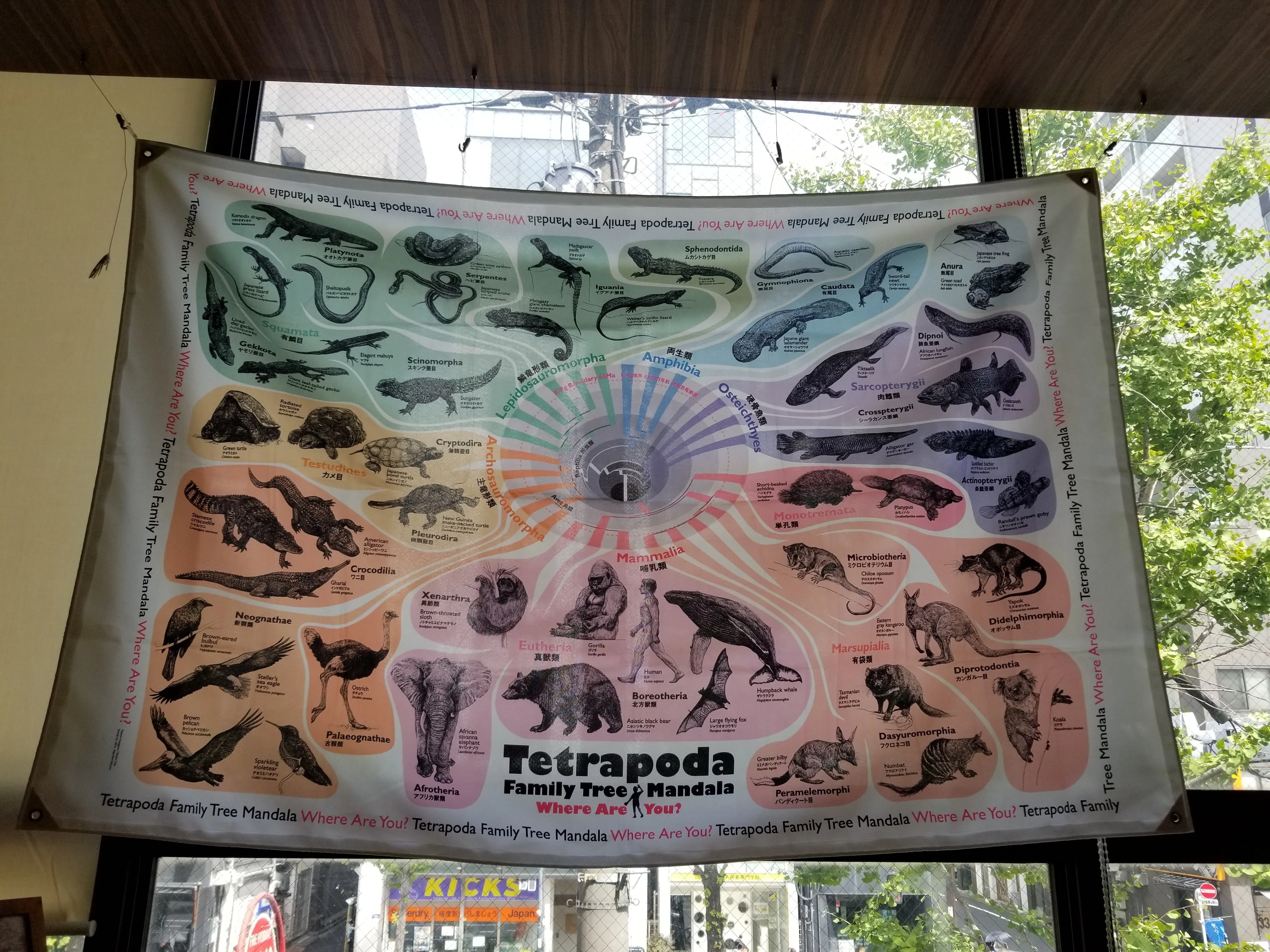 神保町ヴンダーカンマー2023ですよ｜始祖鳥堂まふ（M.A.F.）