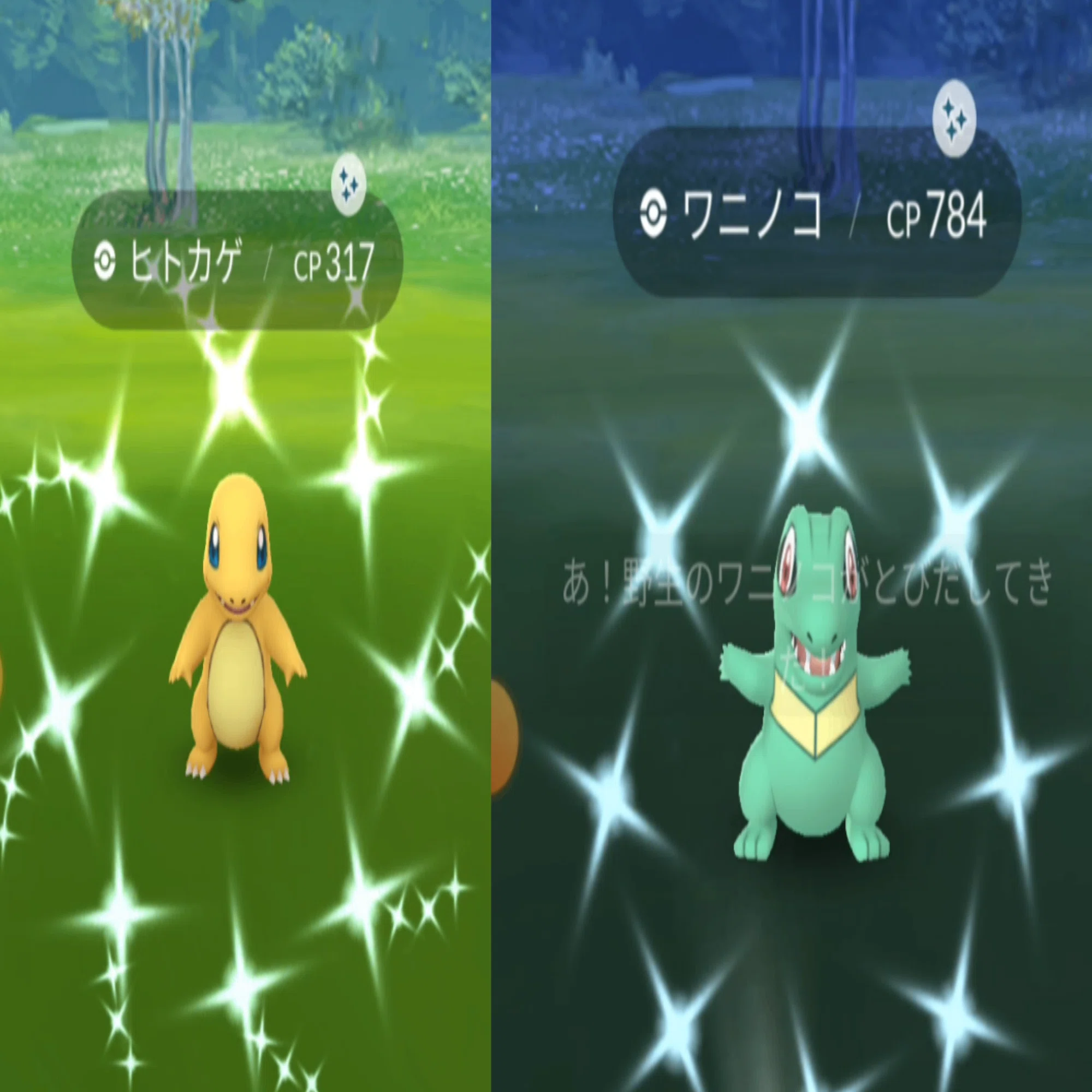 姿違い伝説ポケモン 色違い｜ゆ。