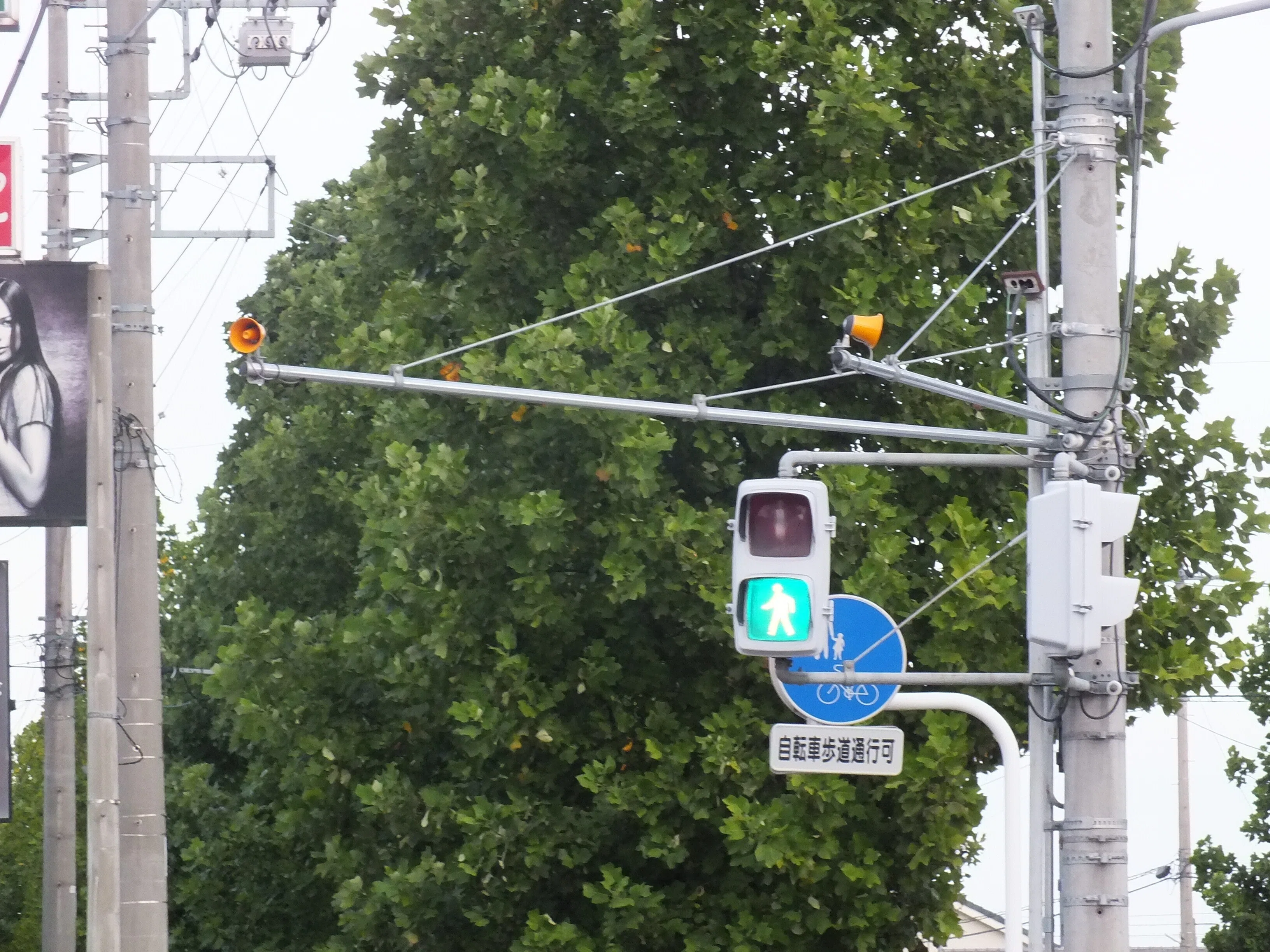 天川大島町で初設置! 日本信号警交1015号版1と音響スピーカー in 前橋